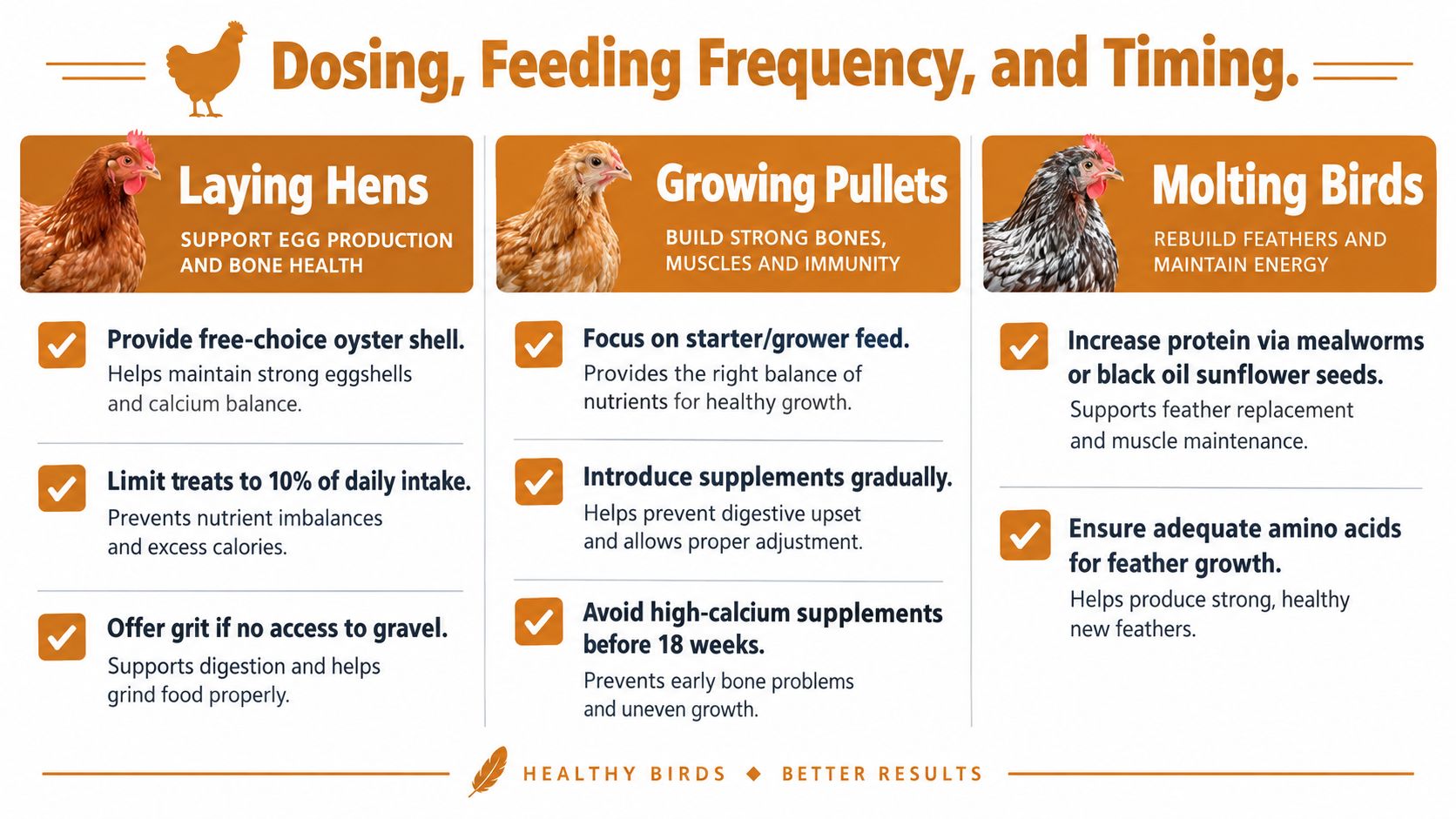 An infographic titled Dosing, Feeding Frequency, and Timing offering advice for laying hens, growing pullets, and molting birds.
