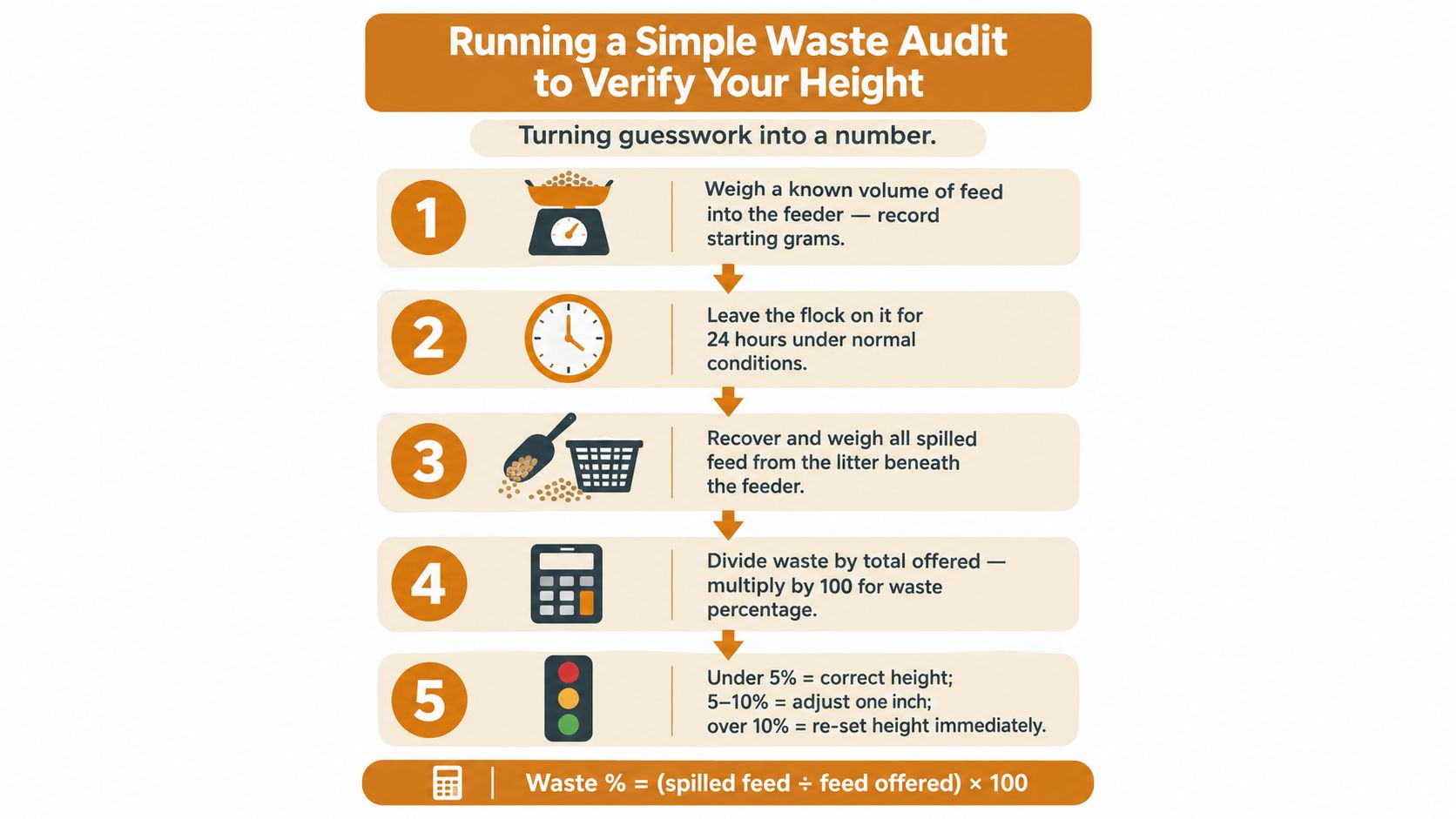 A five-step infographic showing how to calculate feed waste percentage to determine correct chicken feeder height.