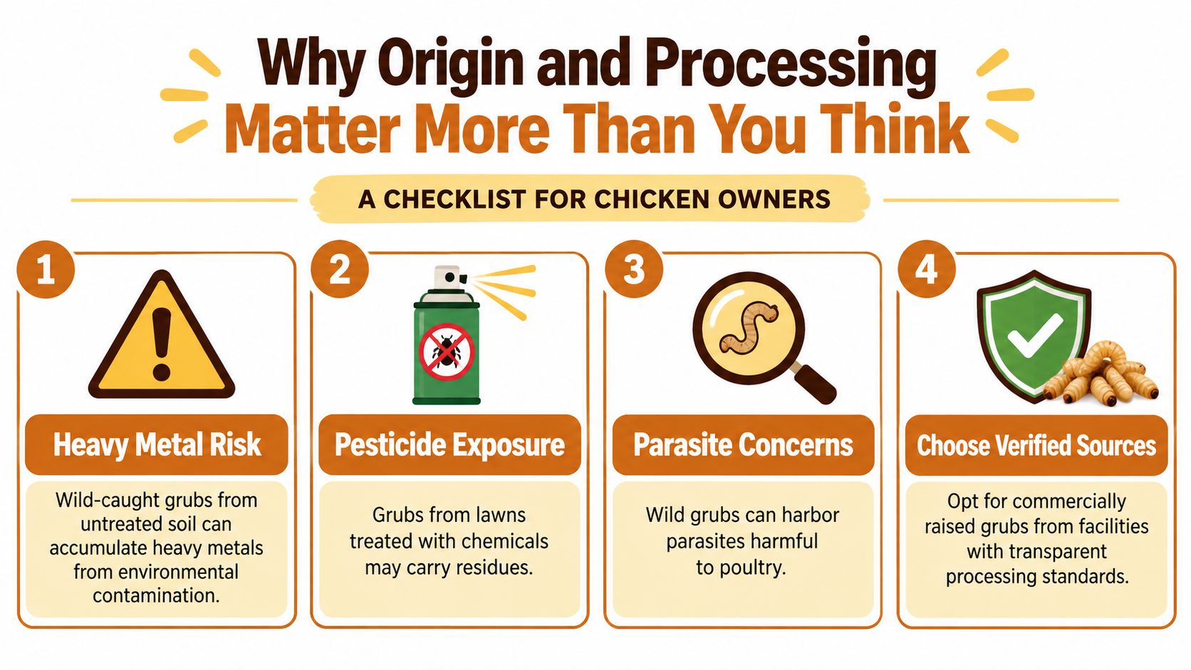 An infographic titled Why Origin and Processing Matter More Than You Think, guiding chicken owners on grub safety.