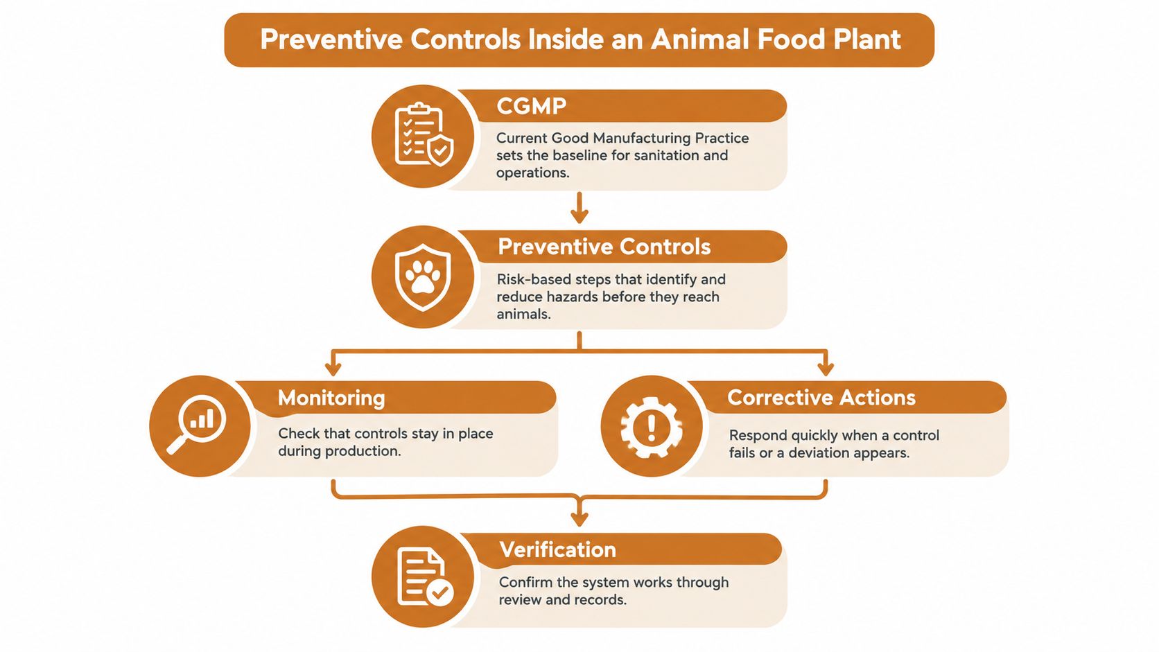 A flow chart illustrating preventive controls for animal food manufacturing including CGMP, monitoring, corrective actions, and verification steps.