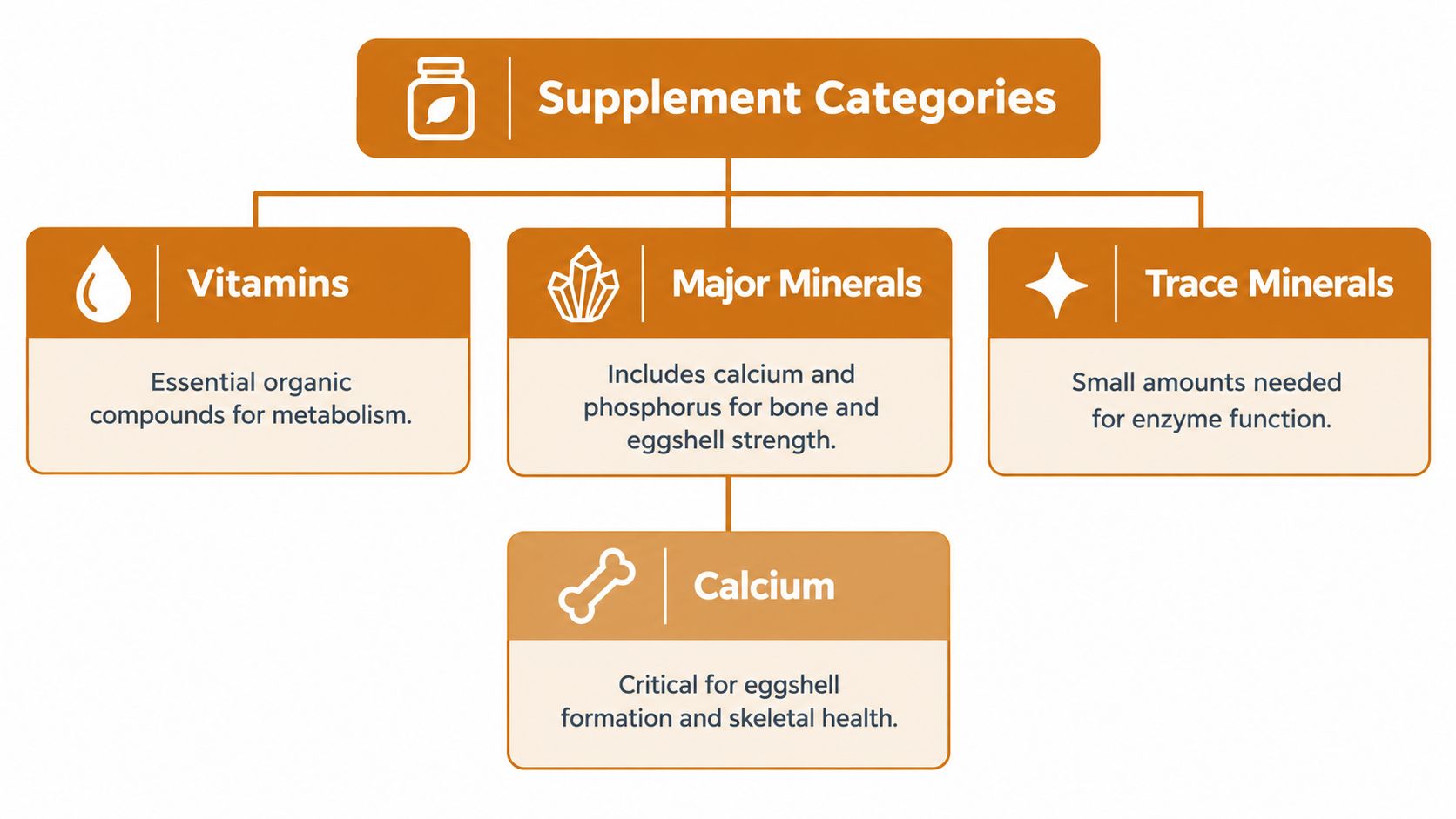 A flowchart categorizing poultry feed supplements into vitamins, major minerals, and trace minerals with calcium highlighted below.
