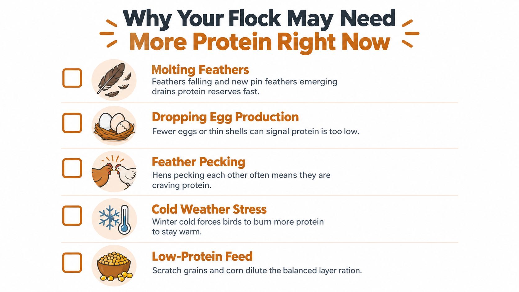 A checklist infographic explaining why a chicken flock might need more protein in their diet.