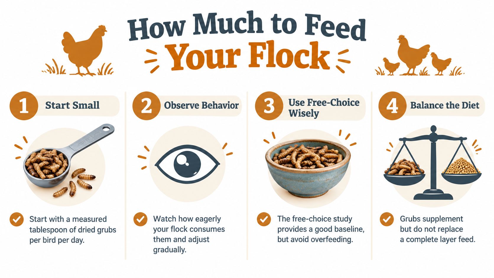 An infographic titled How Much to Feed Your Flock providing guidelines on feeding grubs to chickens.