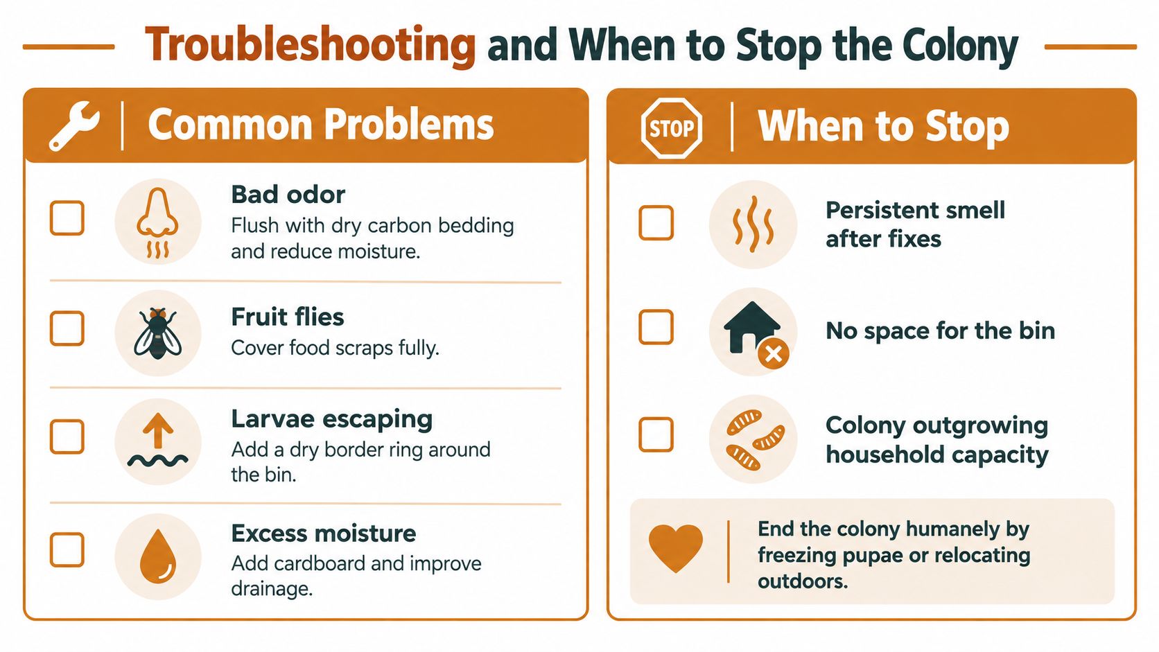 A troubleshooting guide infographic for managing a black soldier fly larvae colony in a home bin.