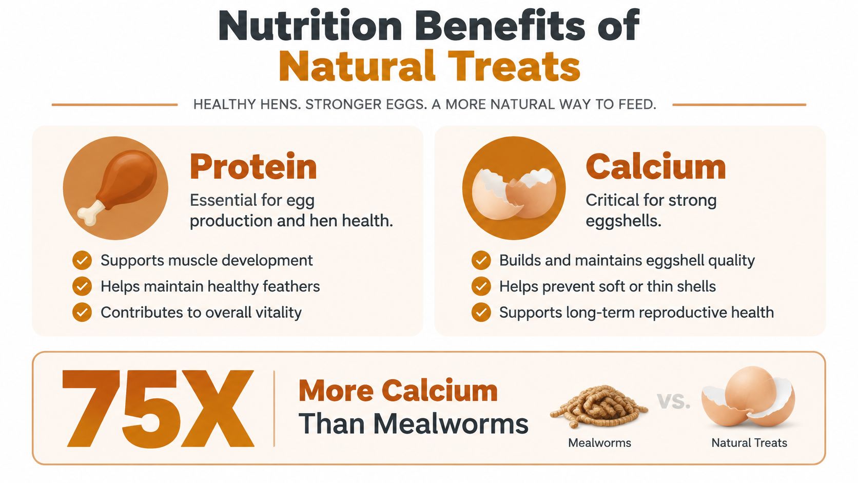 An infographic highlighting the nutritional benefits of natural chicken treats, focusing on protein and calcium for hens.