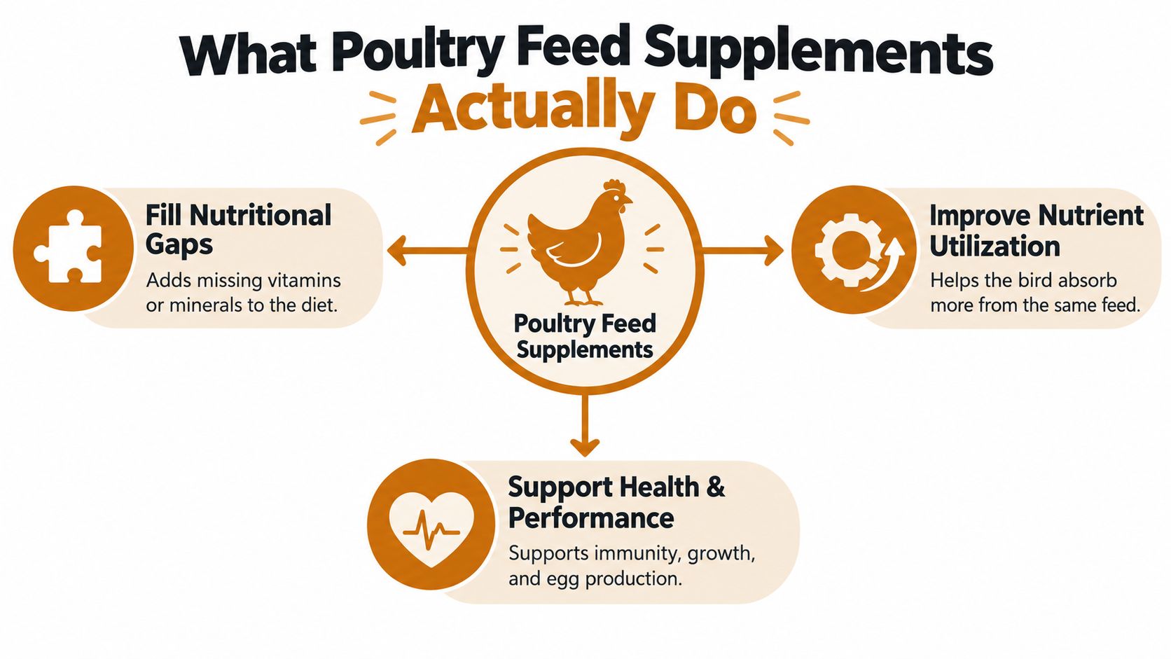 An infographic showing that poultry feed supplements provide nutrition, improve absorption, and support overall bird health.