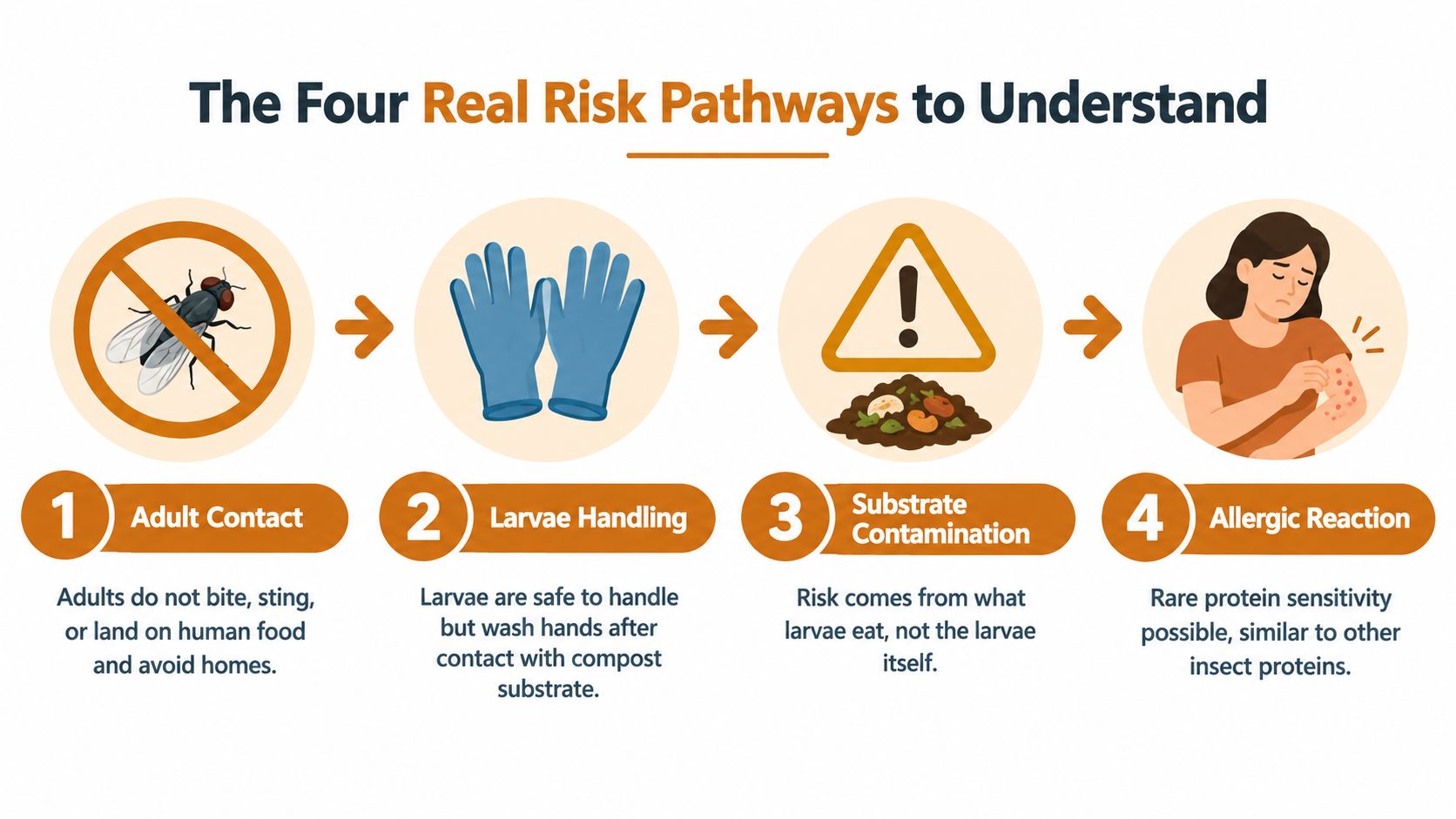 An infographic titled The Four Real Risk Pathways illustrating safety considerations regarding black soldier fly larvae.