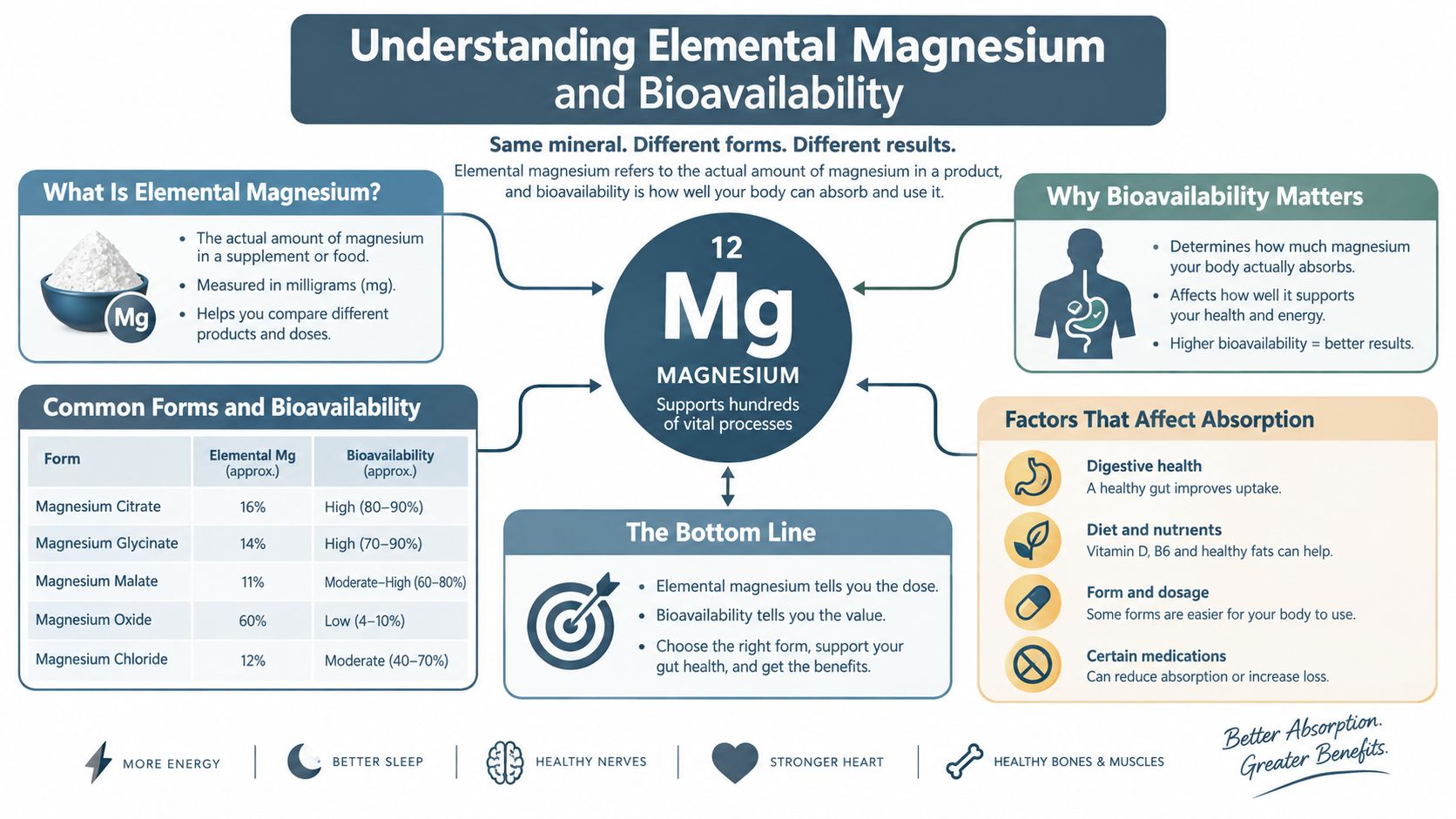 An infographic comparing different forms of magnesium supplements, their elemental content, and their bioavailability for human absorption.