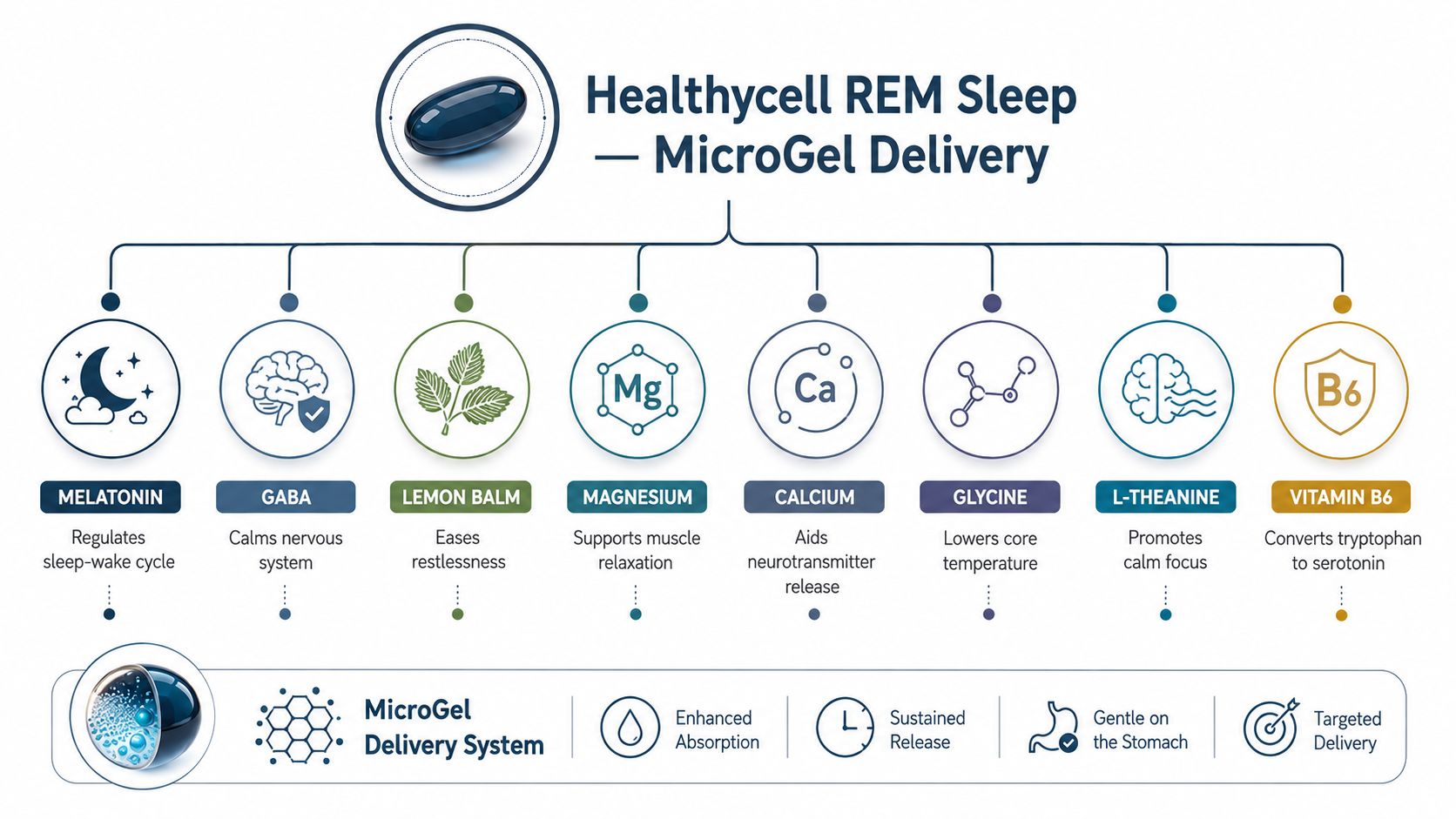 An infographic detailing the ingredients of Healthycell REM Sleep supplement and the benefits of its MicroGel delivery system.