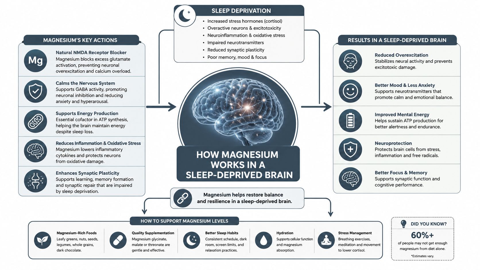 A diagram explaining how magnesium supplements support brain health and restore balance in a sleep-deprived brain.