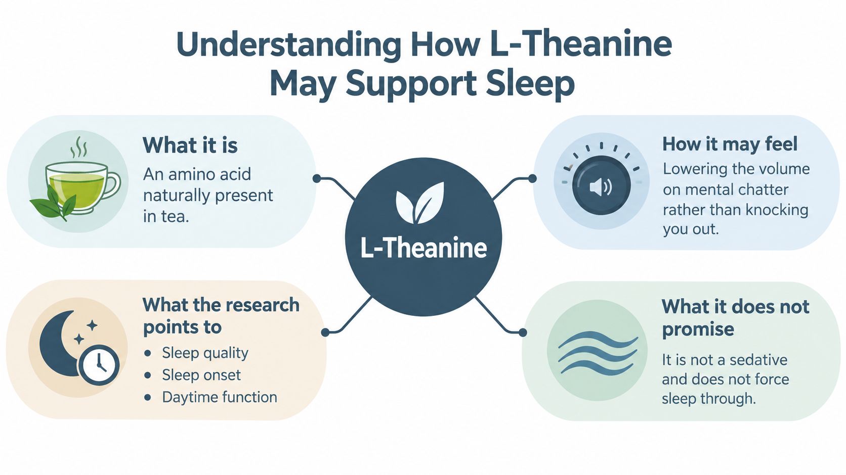 An infographic titled Understanding How L-Theanine May Support Sleep, covering its nature, effects, and research findings.