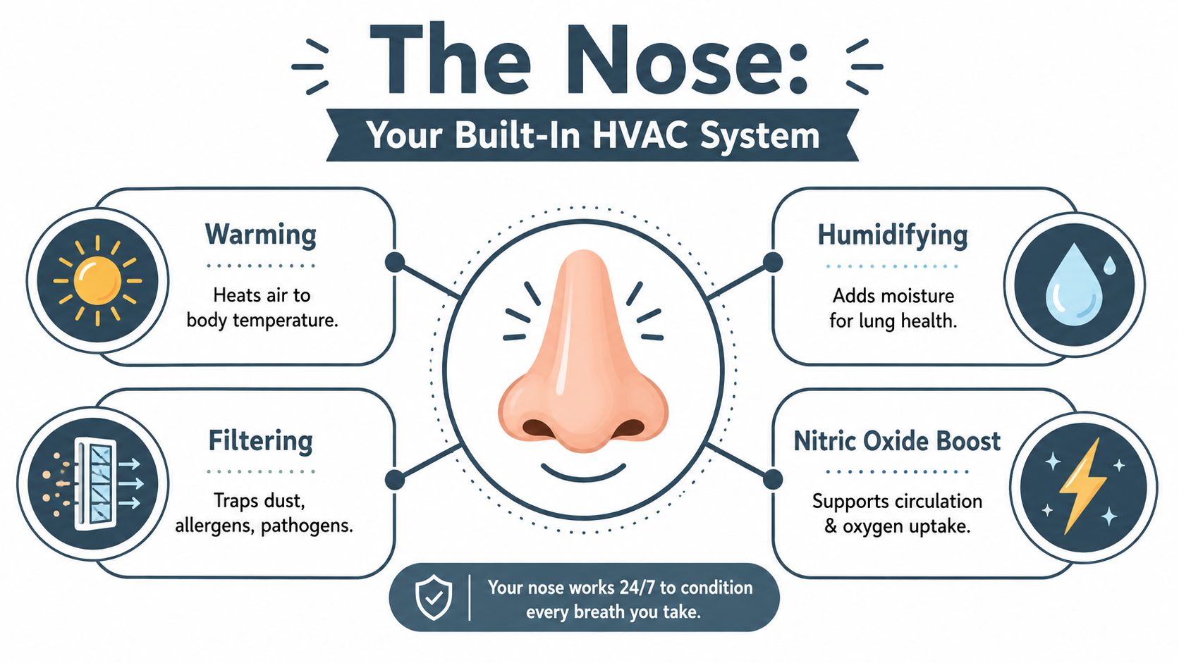 An infographic titled The Nose Your Built-In HVAC System showing four functions: warming, filtering, humidifying, and nitric oxide boost.