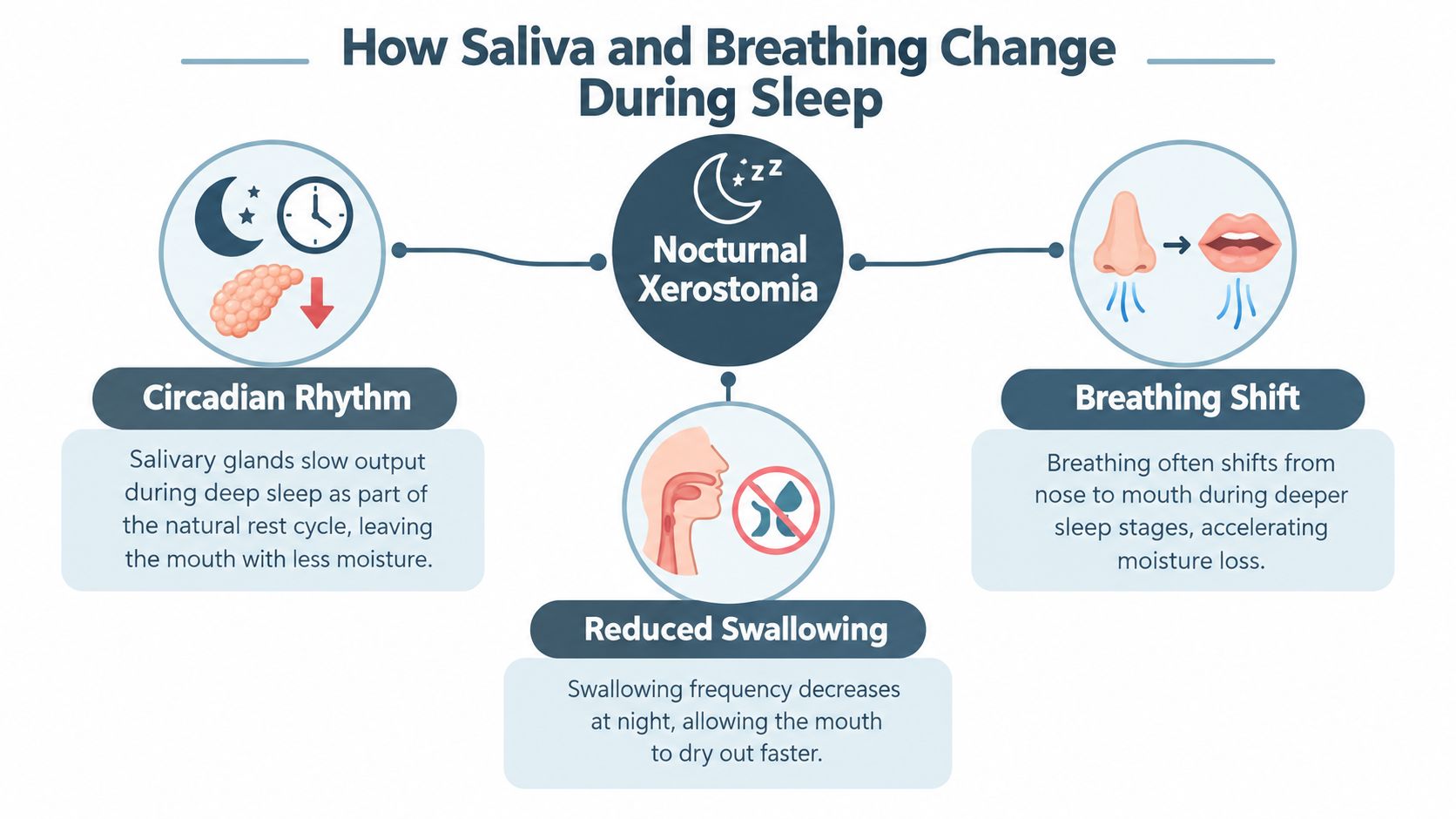 An infographic showing the three main causes of nocturnal xerostomia, or dry mouth during sleep.
