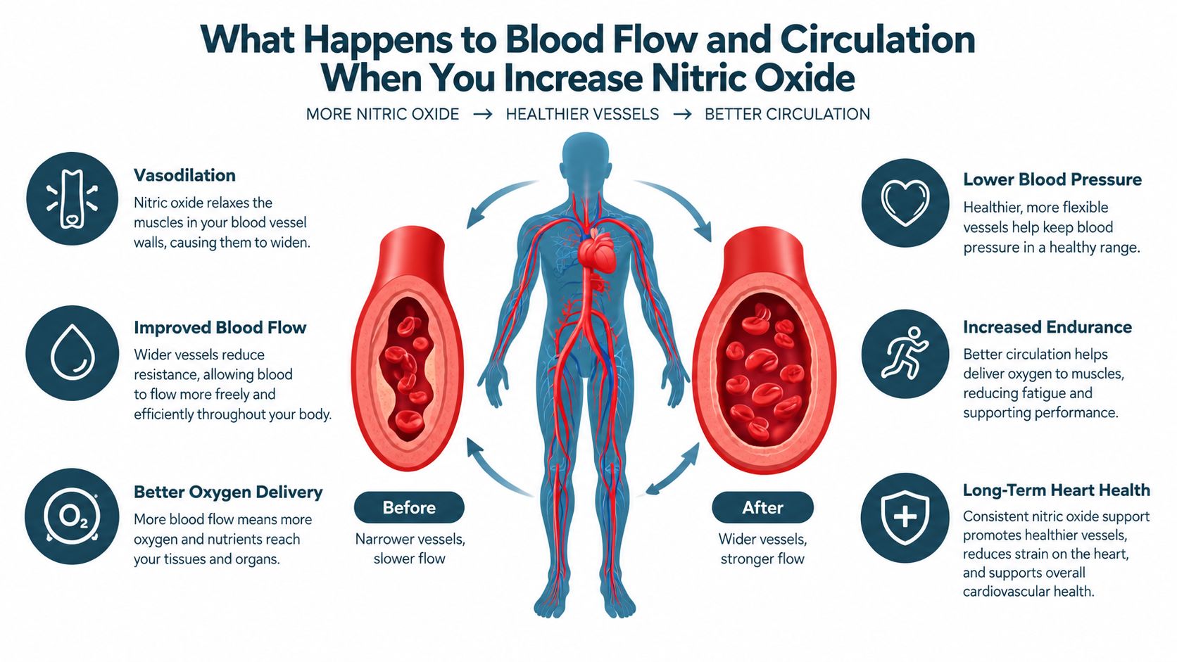 An infographic showing how increasing nitric oxide levels improves circulation, blood flow, and long-term heart health.