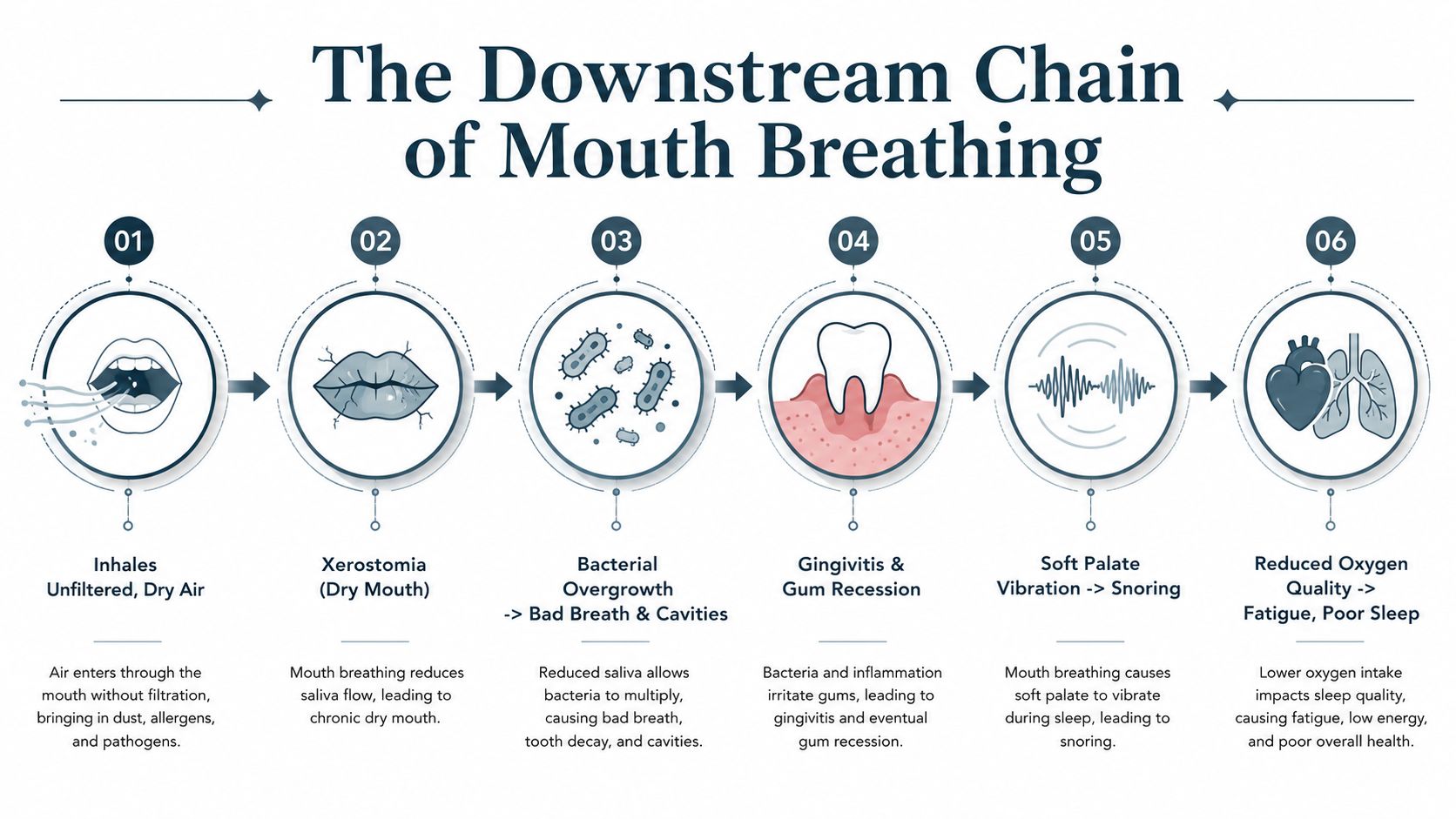 A diagram illustrating the health effects and downstream consequences of mouth breathing on the body and oral health.