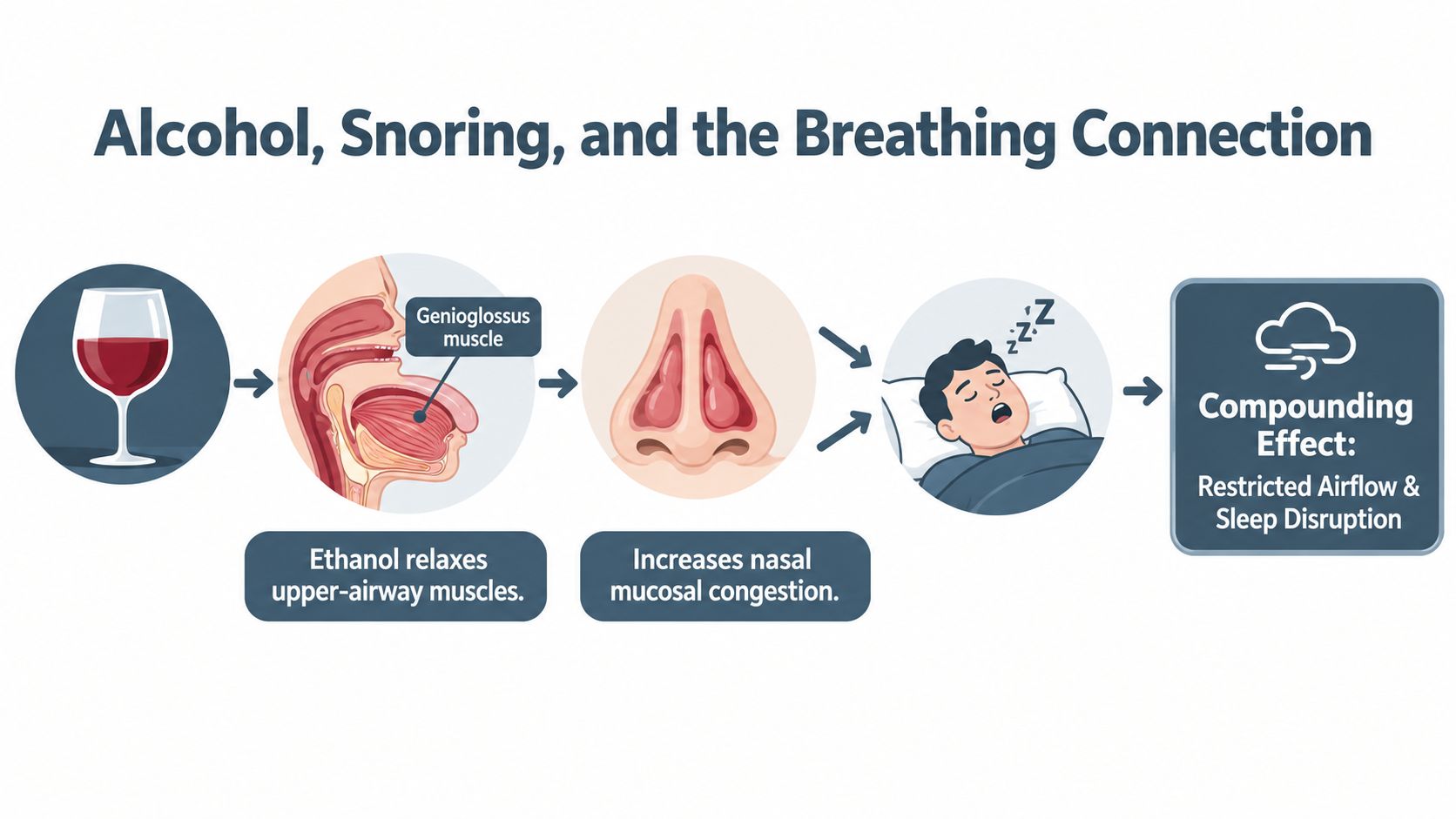 A diagram illustrating how alcohol consumption relaxes airway muscles and causes nasal congestion, leading to snoring and disrupted sleep.