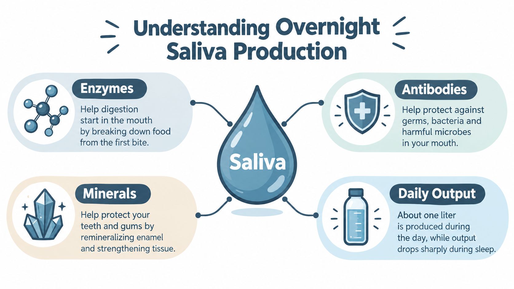 An infographic titled Understanding Overnight Saliva Production detailing the role of enzymes, antibodies, minerals, and daily output.