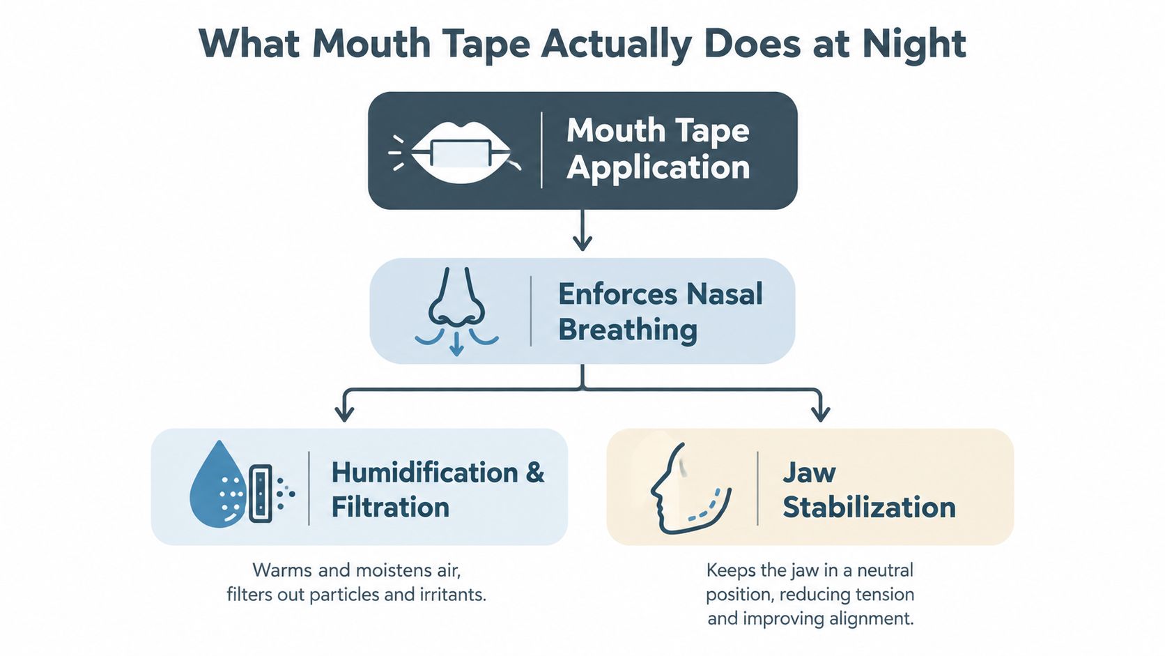 A diagram illustrating how mouth tape promotes nasal breathing, air humidification, filtration, and jaw stabilization at night.