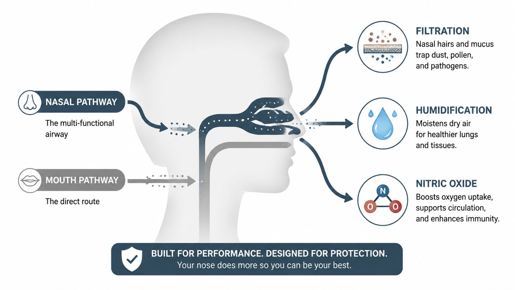 A diagram comparing the functional benefits of nasal breathing versus mouth breathing for human respiratory health.