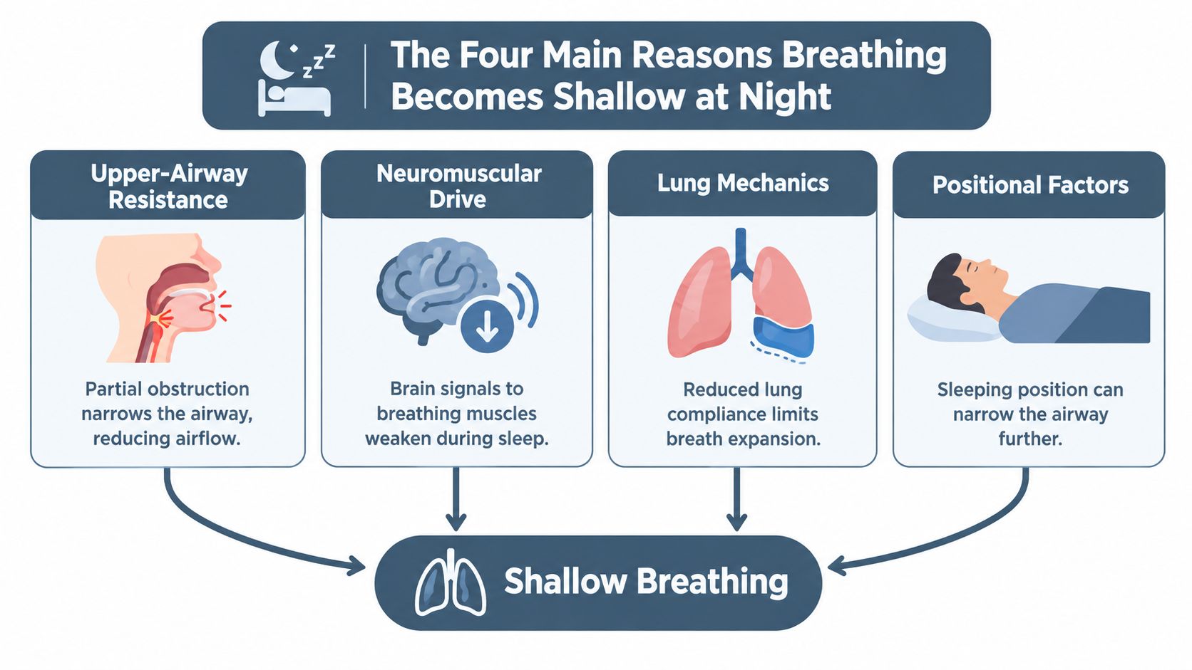 An infographic showing the four main causes of shallow breathing during sleep: airway resistance, neurological drive, lung mechanics, and positioning.