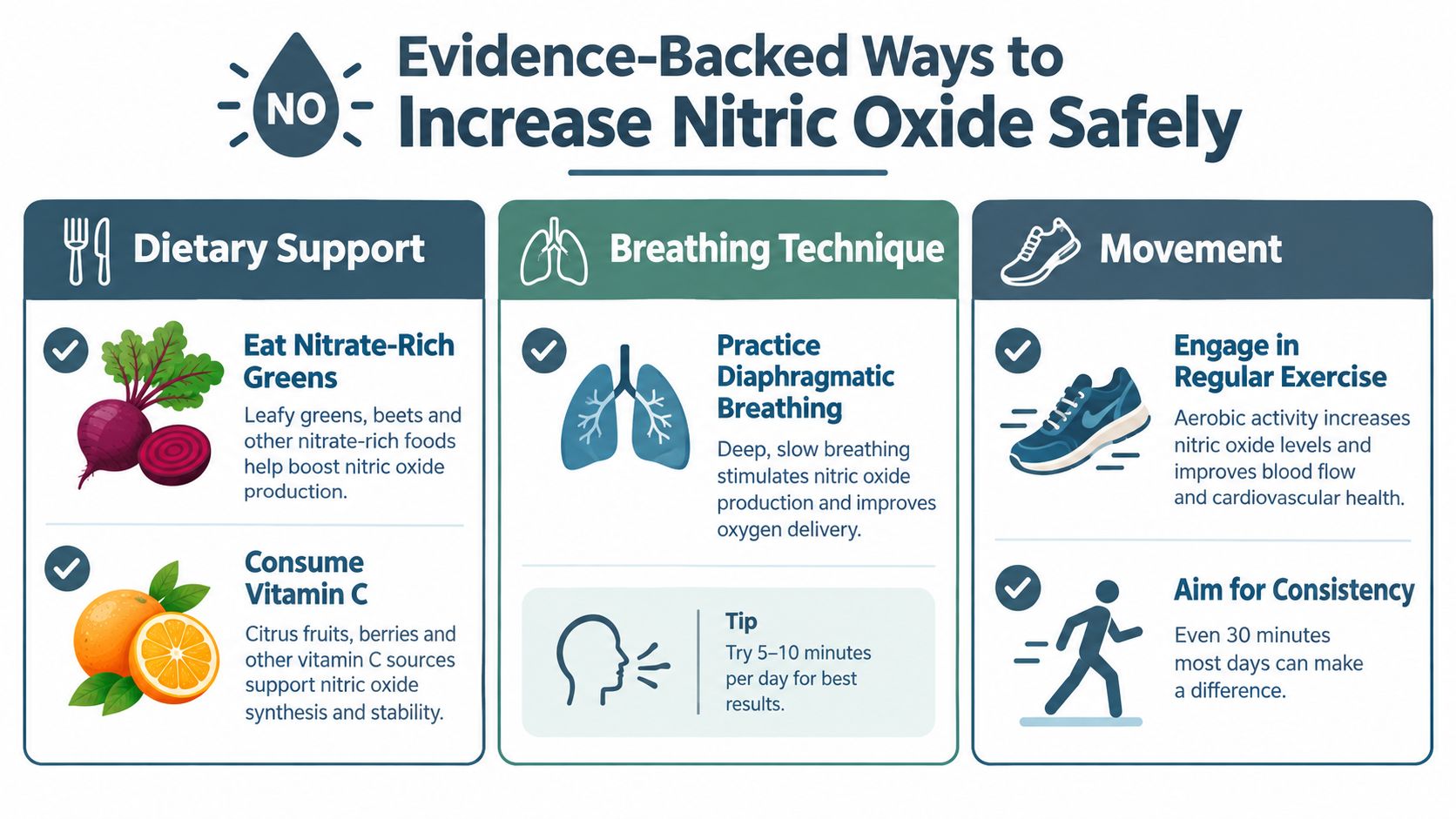 An infographic titled Evidence-Backed Ways to Increase Nitric Oxide Safely, detailing dietary support, breathing techniques, and exercise.