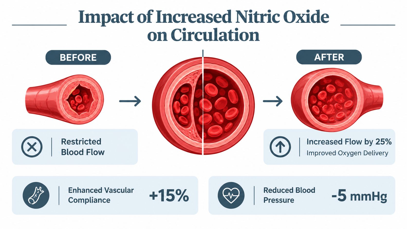 A diagram illustrating how increased nitric oxide improves blood flow, vascular compliance, and reduces blood pressure.