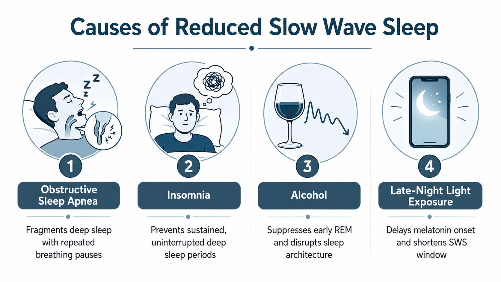 An infographic detailing four primary factors that contribute to reduced slow wave sleep in human beings.