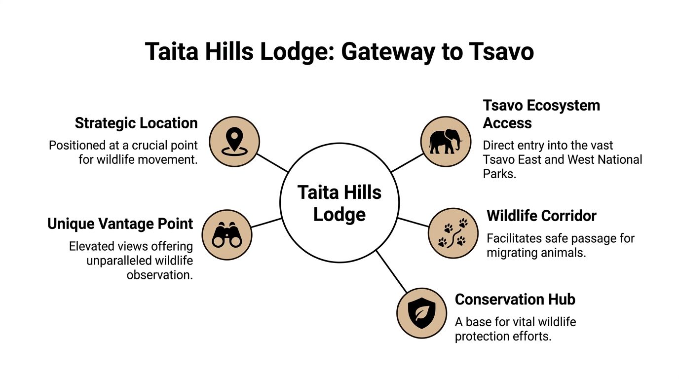 taita hills lodge kenya lodge infographic Infographic