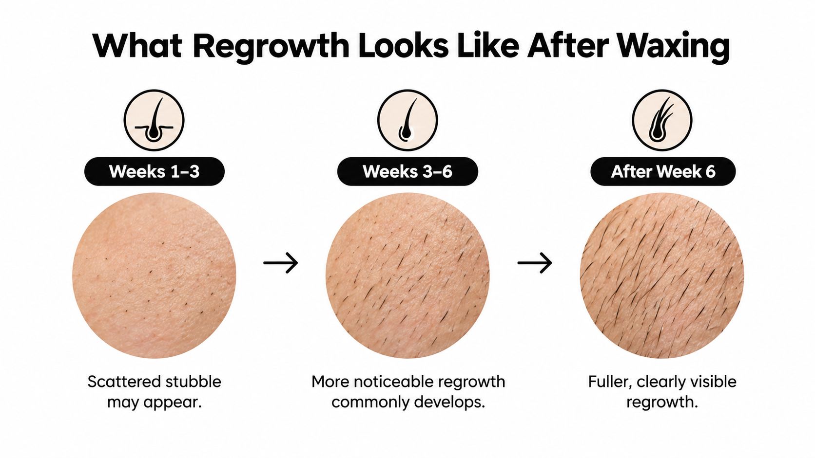 A diagram illustrating the progression of hair regrowth at different stages after a waxing treatment.