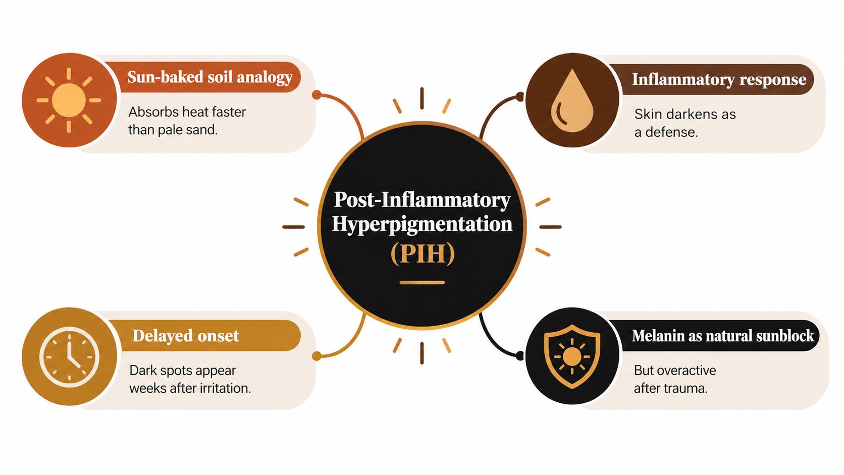 An infographic explaining Post-Inflammatory Hyperpigmentation with four key concepts: sun-baked soil analogy, inflammatory response, delayed onset, and melanin.