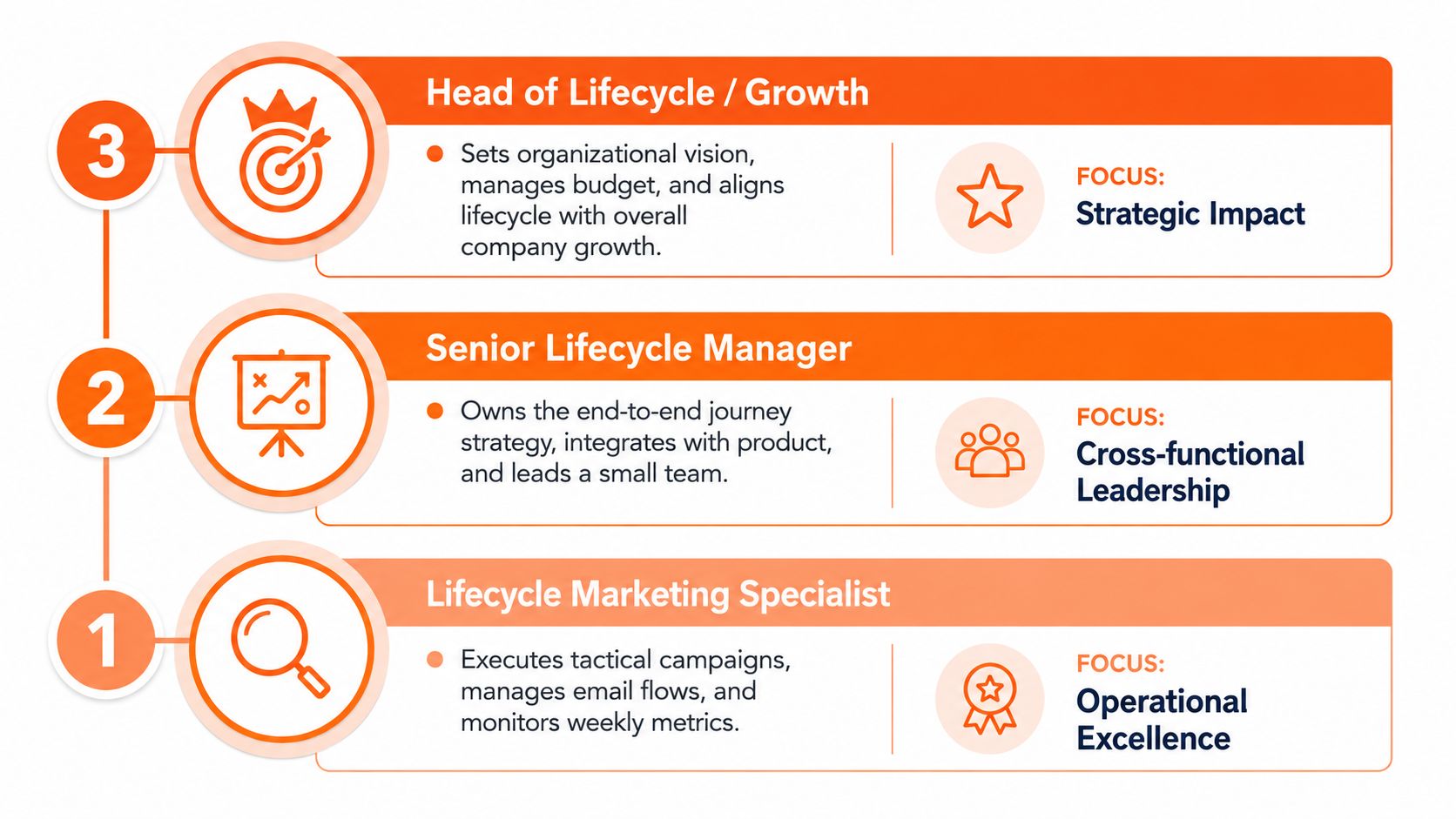 A hierarchical chart illustrating career levels for lifecycle marketing roles from specialist to head of department.