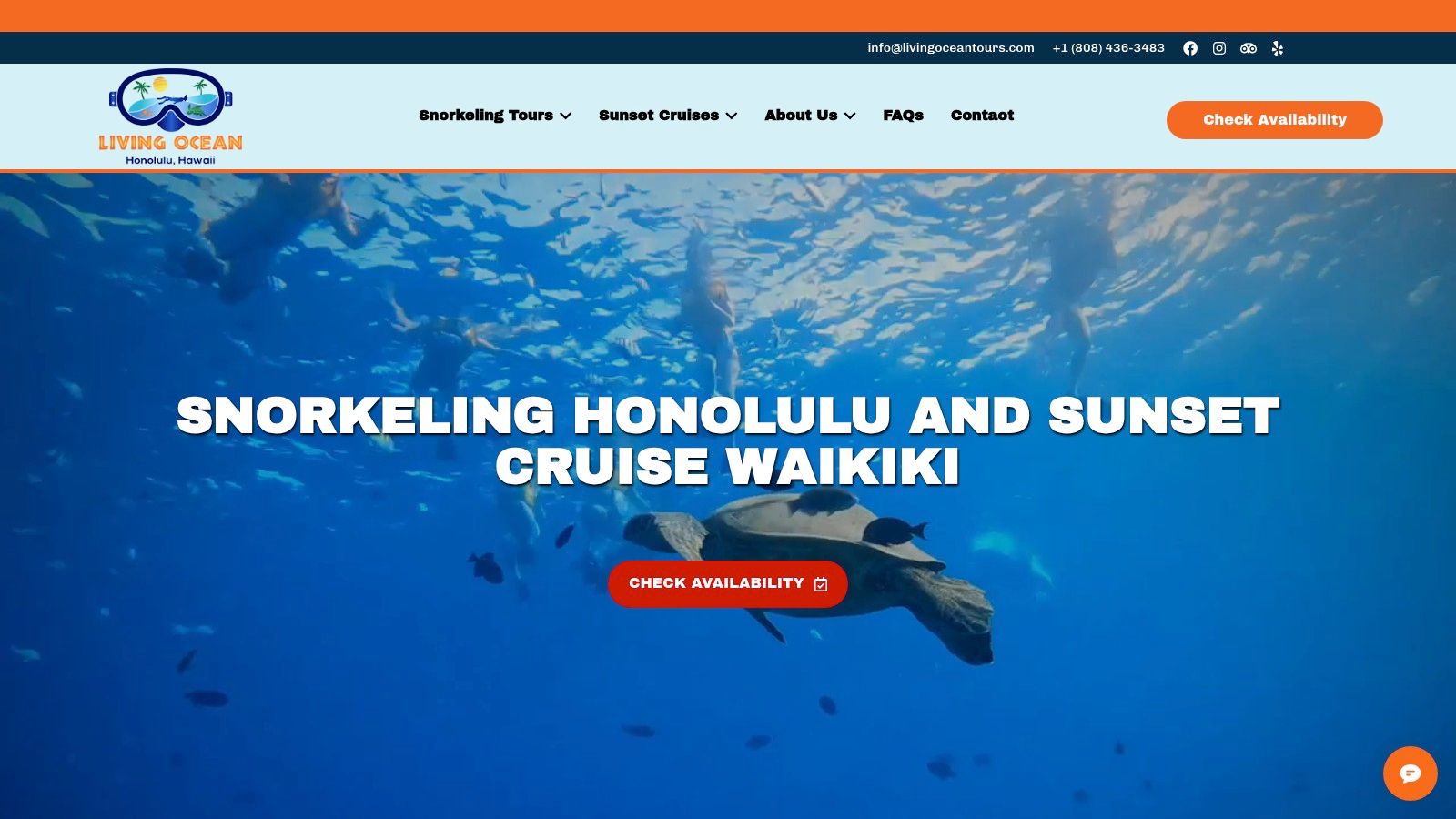 Screenshot from https://www.livingoceantours.com
