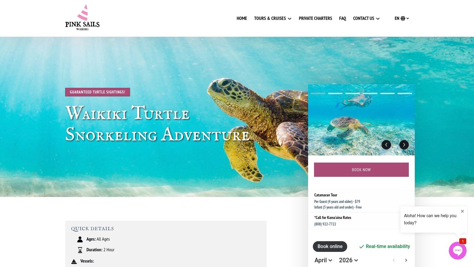 Pink Sails Waikiki – Turtle Snorkeling Adventure