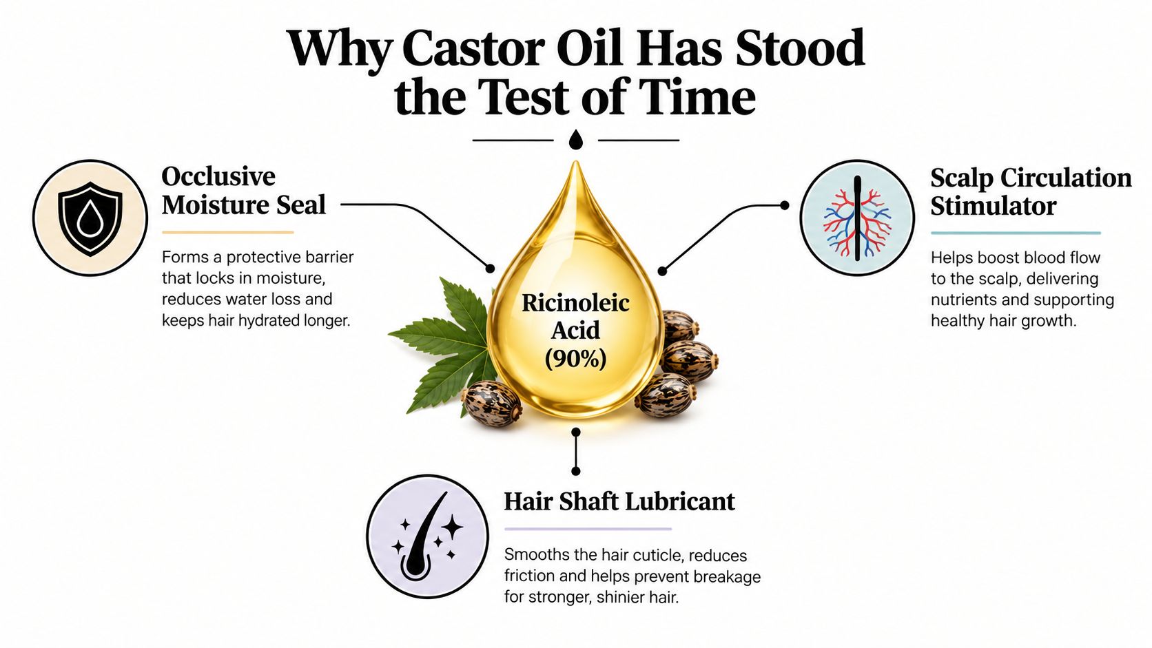 An infographic showing how ricinoleic acid in castor oil acts as a moisture seal, circulation stimulator, and lubricant.