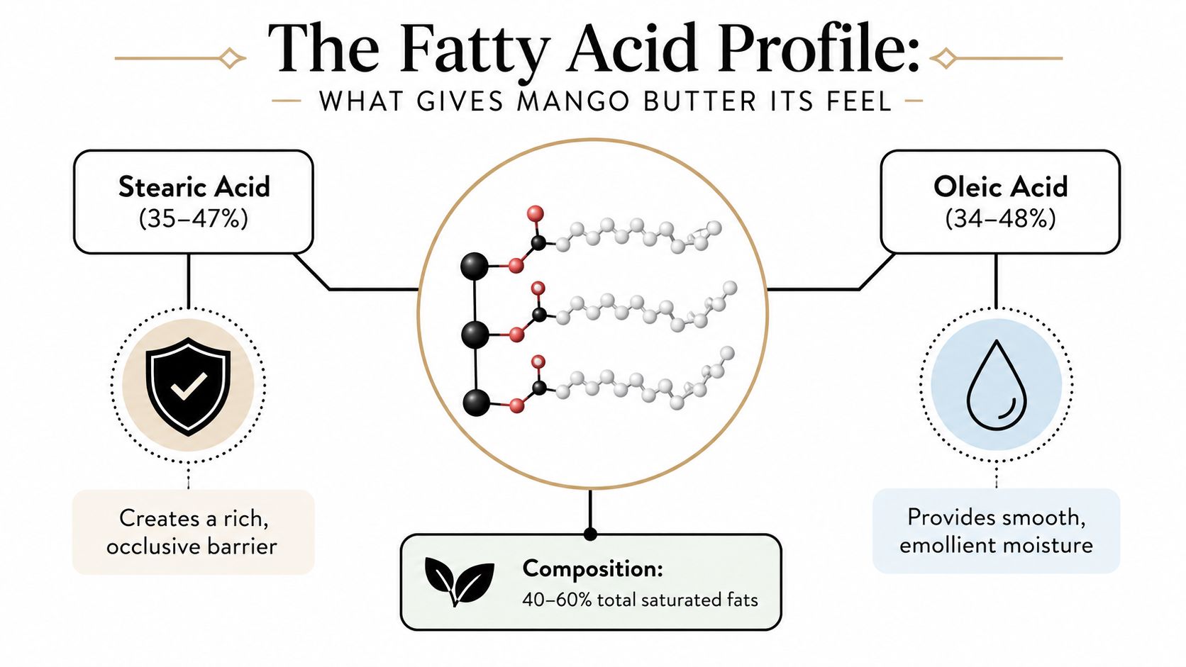 An infographic showing the fatty acid profile of mango butter including stearic acid and oleic acid percentages.