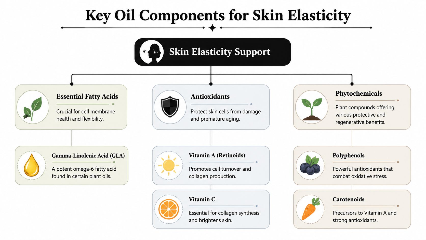 A diagram illustrating key oil components for skin elasticity including fatty acids, antioxidants, and phytochemicals.