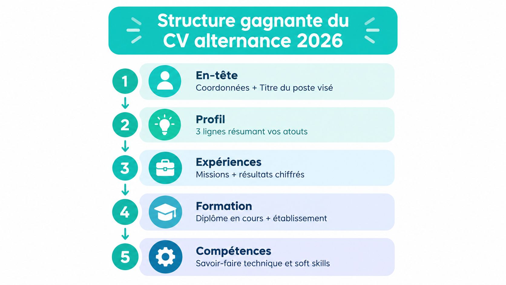Infographie illustrant la structure idéale d'un CV pour une alternance en 2026 avec cinq sections clés.