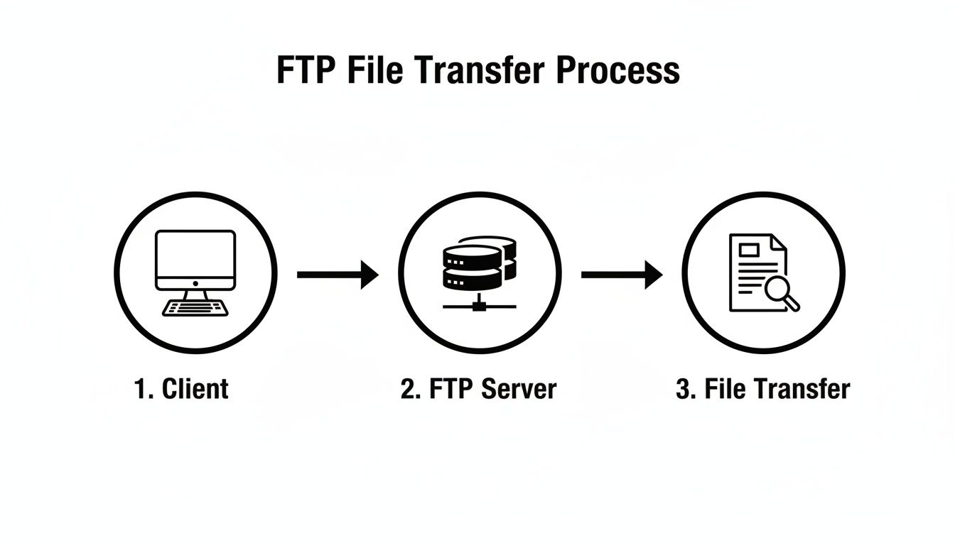 A Complete Guide to the FTP Server Protocol