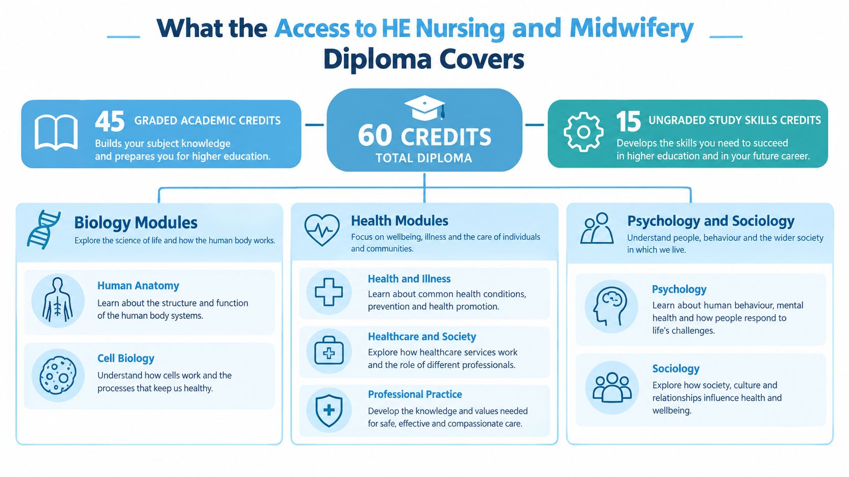 An infographic detailing the structure and modules of an Access to Higher Education Nursing and Midwifery diploma program.