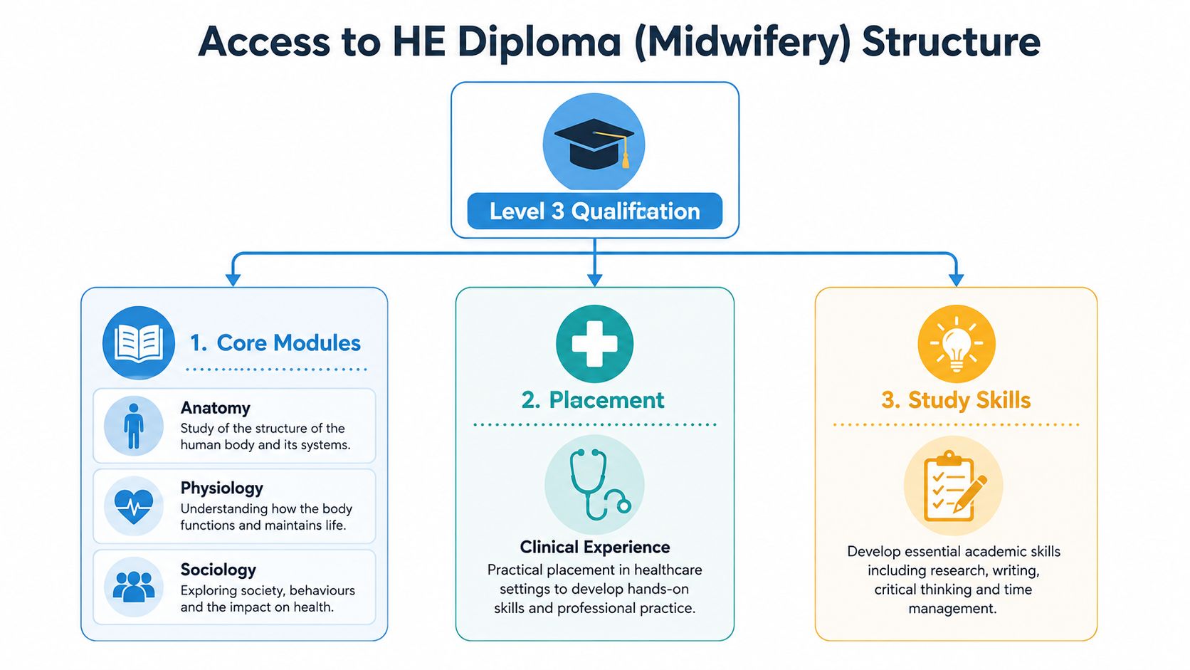 A diagram outlining the Access to HE Diploma in Midwifery course structure including core modules, placement, and study skills.