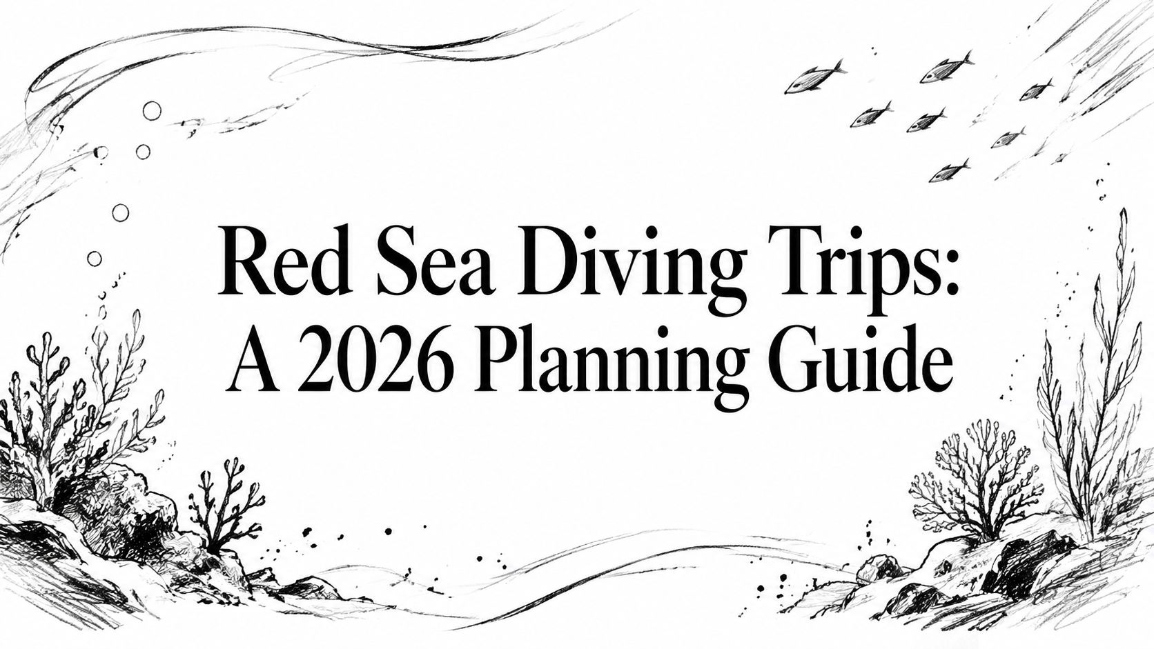 Red Sea Diving Trips: A 2026 Planning Guide