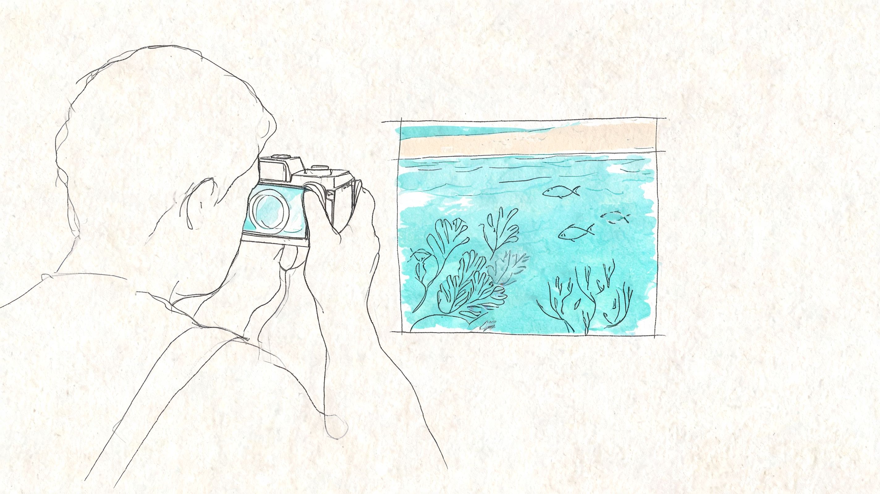 A line drawing of a photographer taking a picture of an underwater coral reef scene.