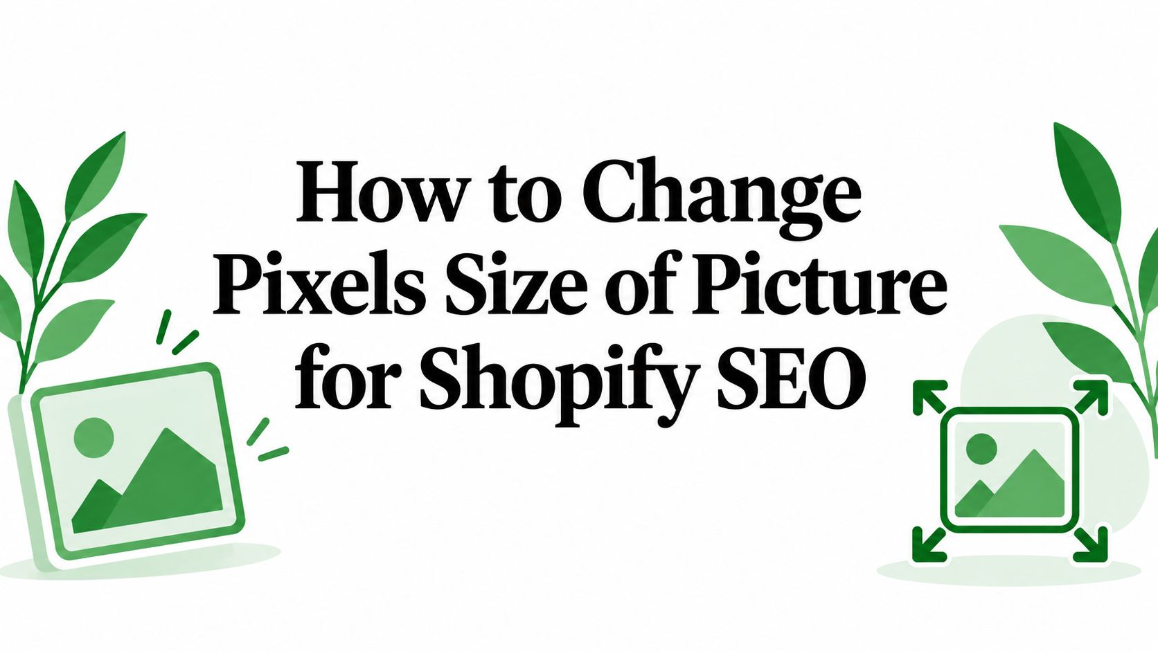 How to Change Pixels Size of Picture for Shopify SEO