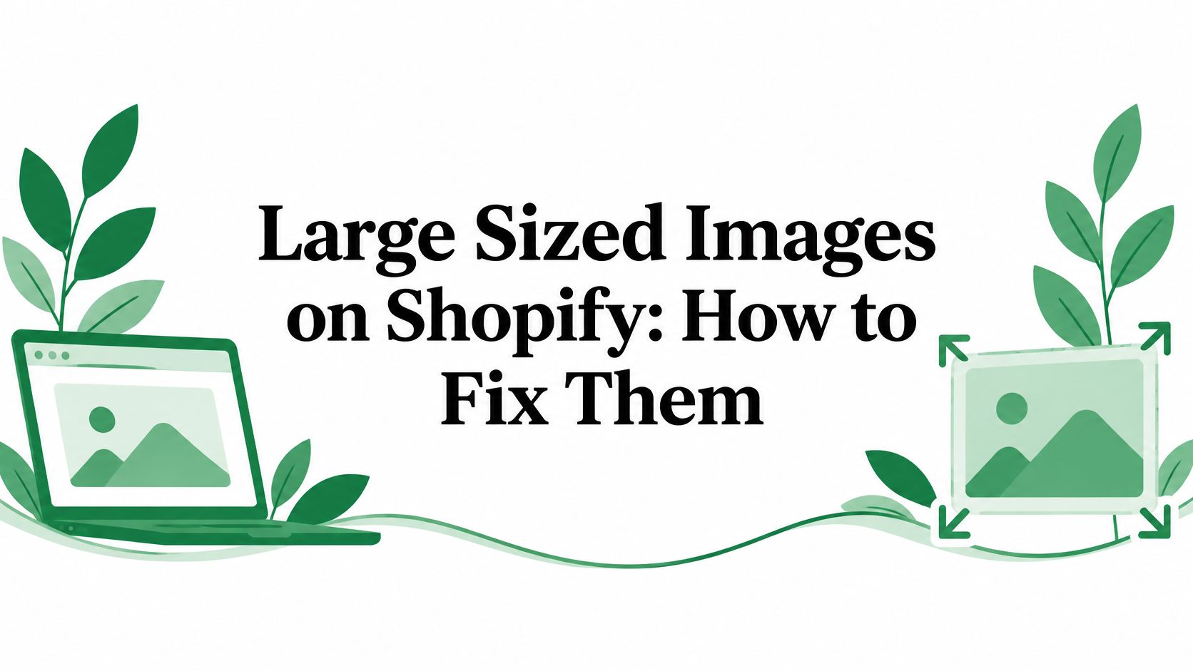 Large Sized Images on Shopify: How to Fix Them