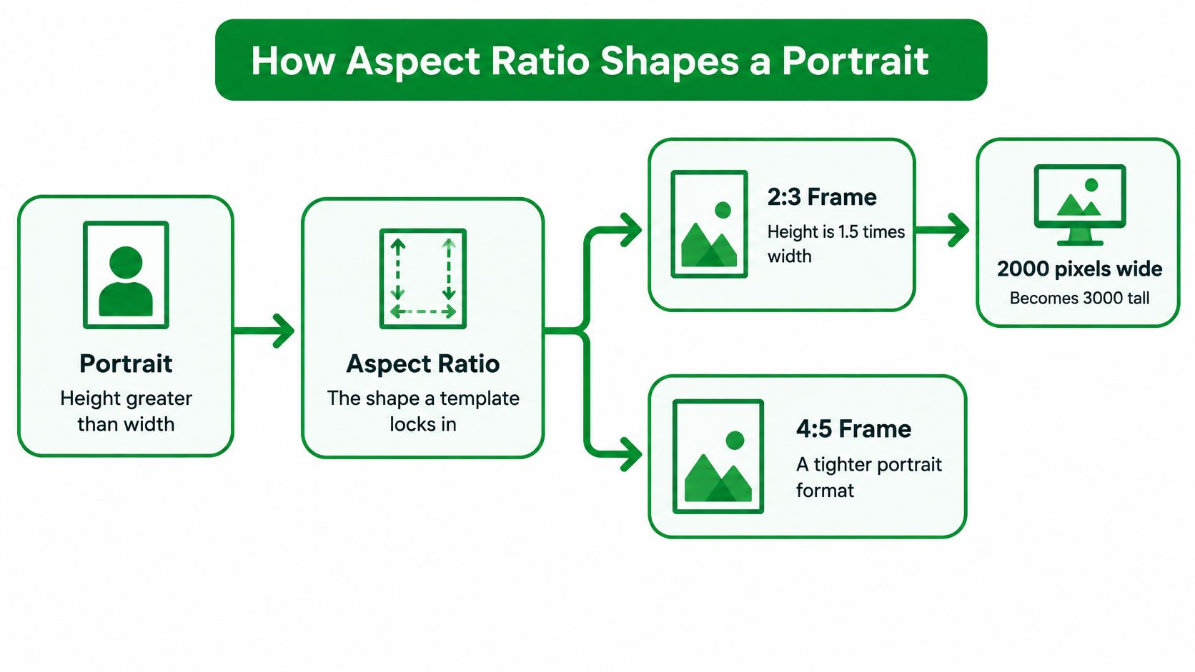 A diagram illustrating how different aspect ratios affect the shape and dimensions of portrait images.