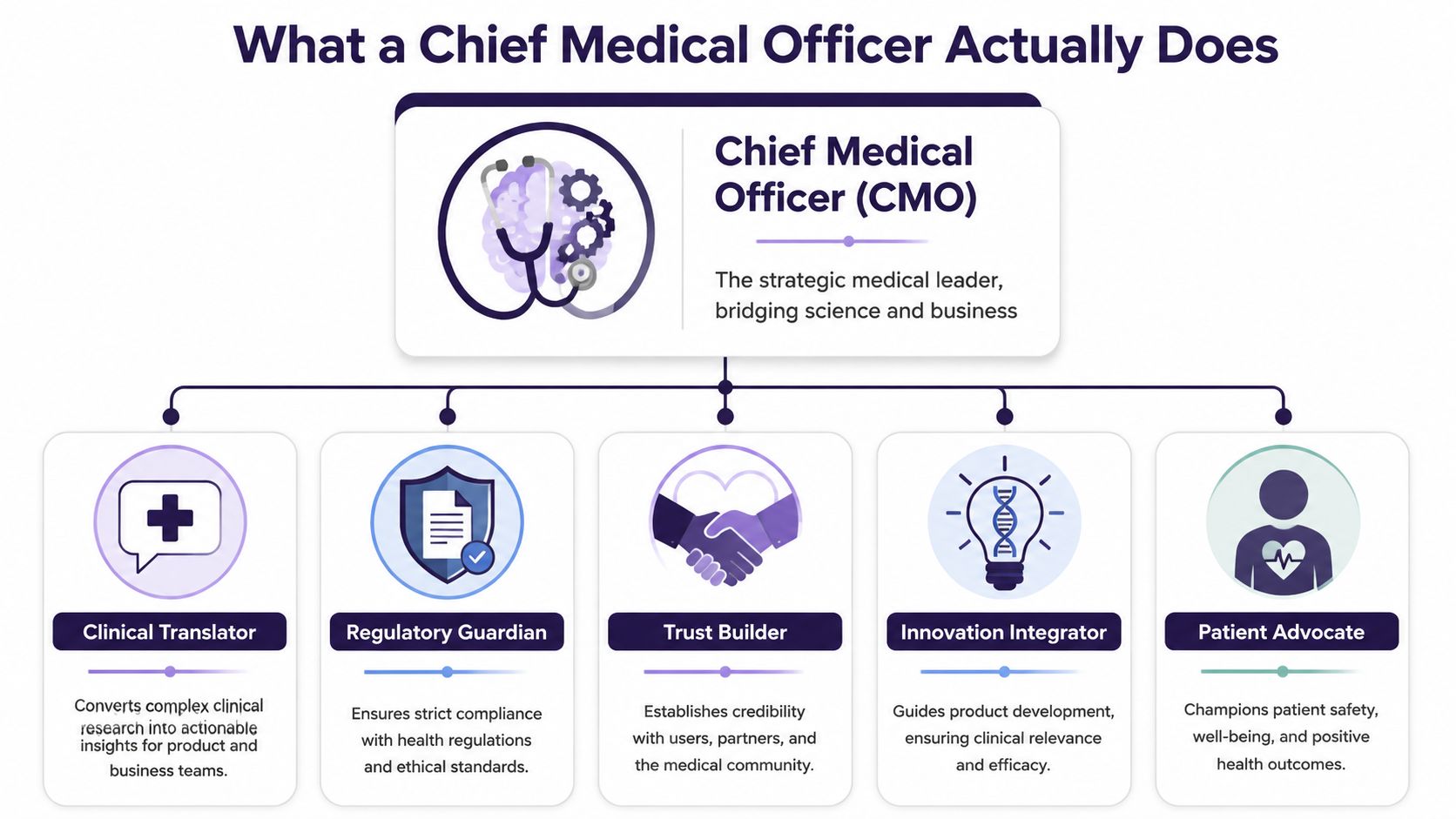 An infographic detailing the five key roles of a Chief Medical Officer in bridging science and business.