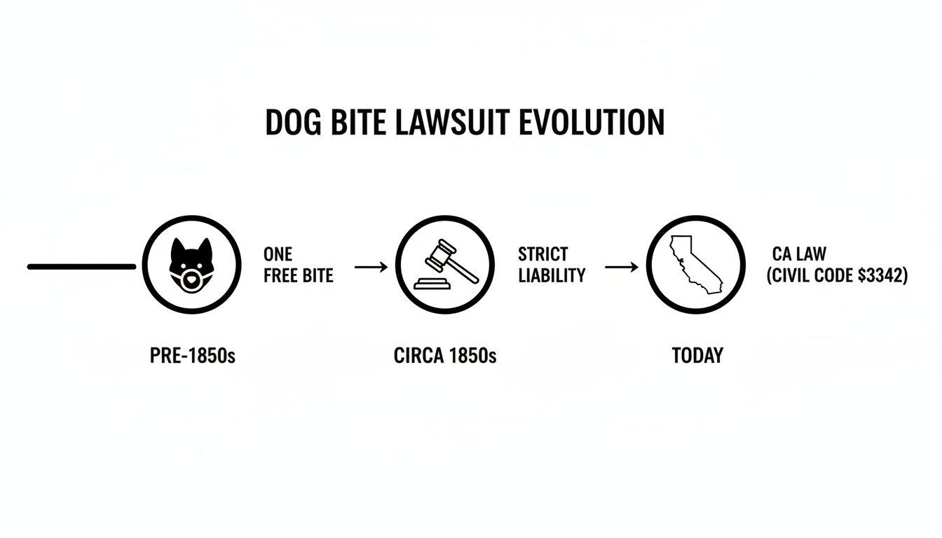 Infographic illustrating the historical evolution of dog bite liability laws from pre-1850s to today's California law.