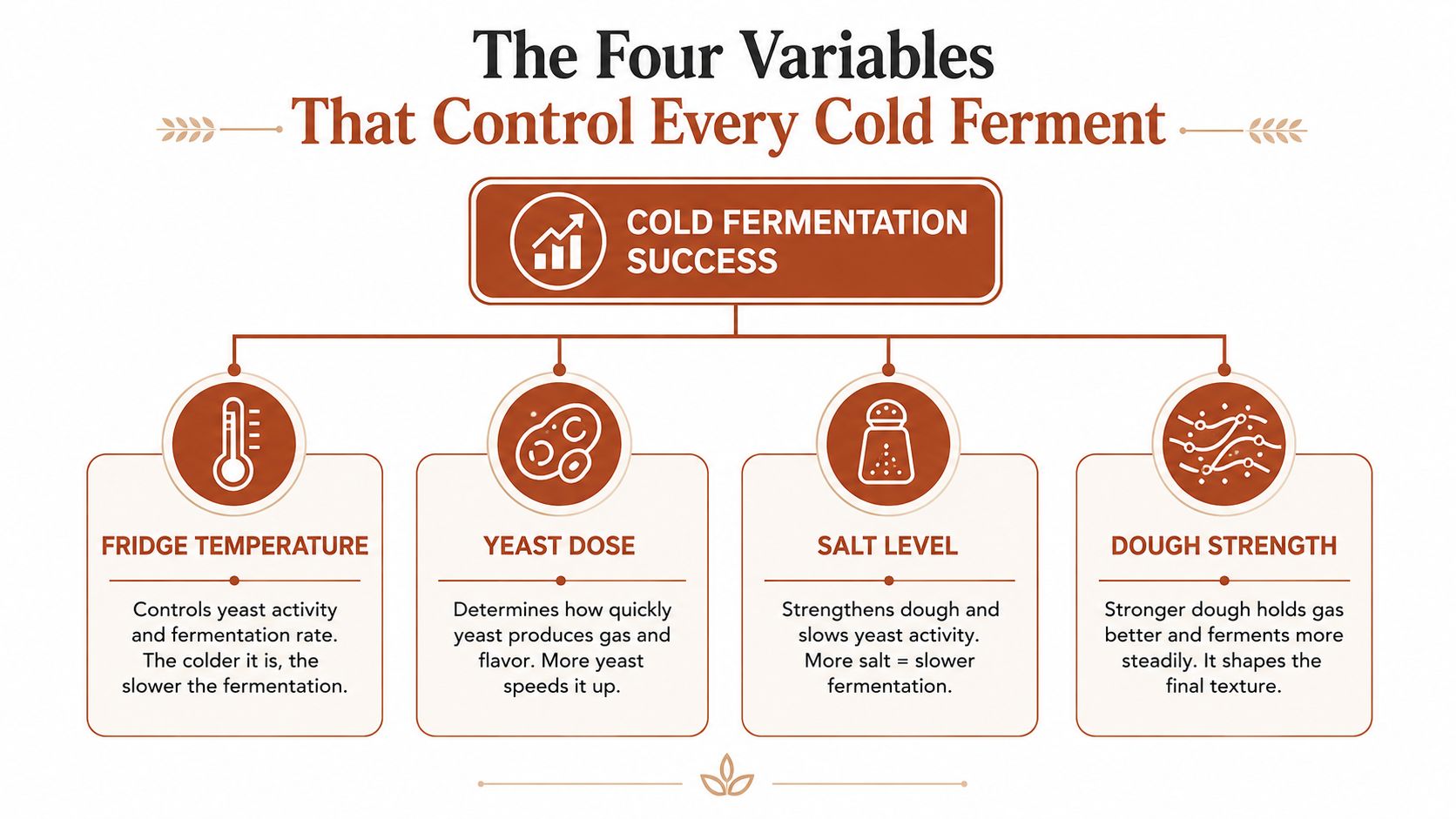 A diagram illustrating the four key variables that control the success of a dough cold fermentation process.