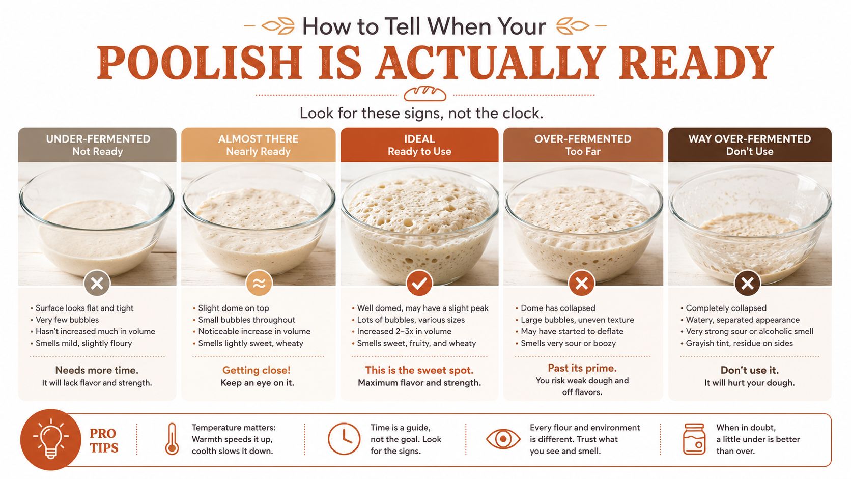 A visual guide illustrating the five stages of poolish fermentation, from under-fermented to way over-fermented, with tips.