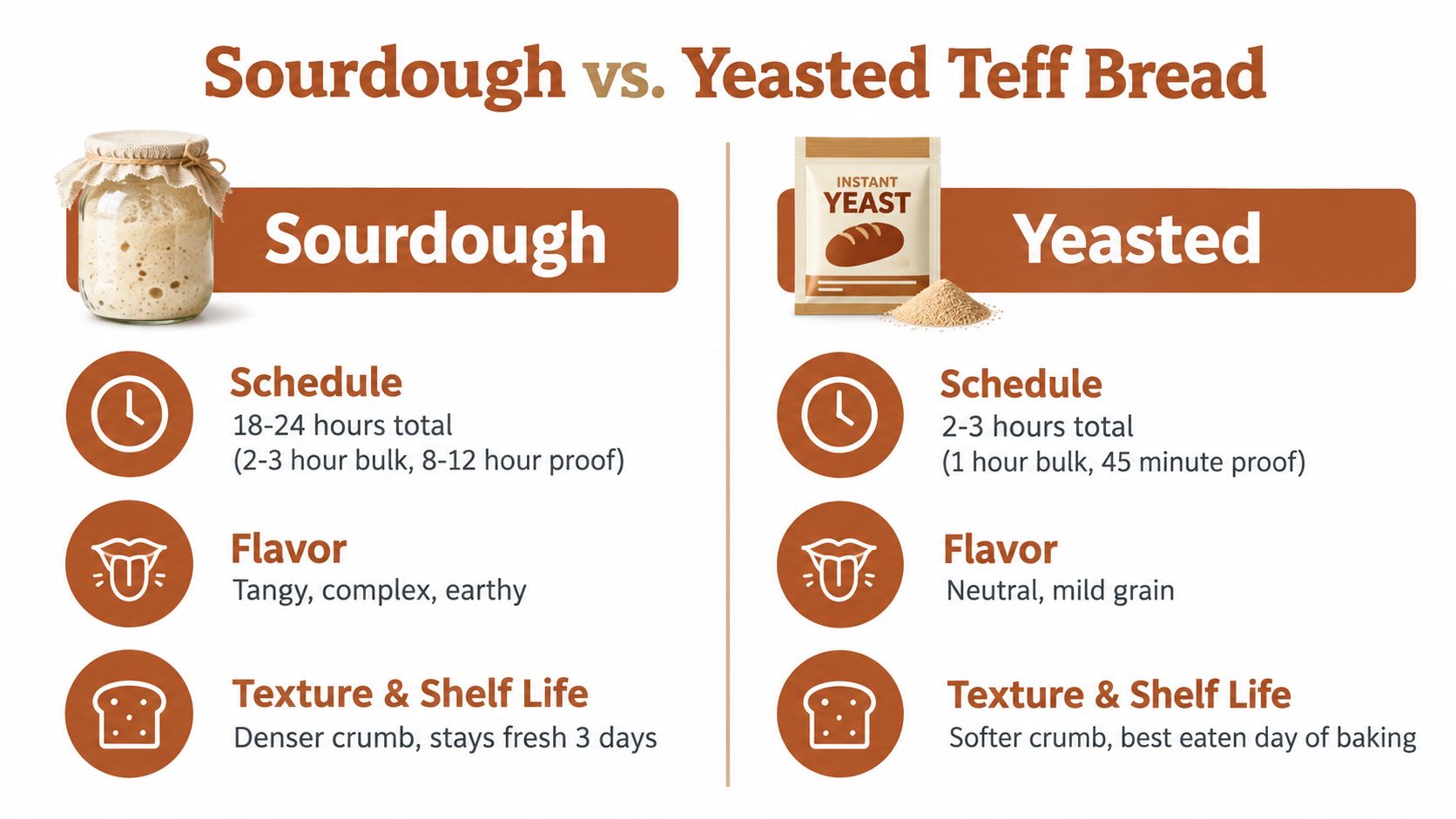 A comparison chart showing the differences between sourdough and yeasted teff bread making methods.